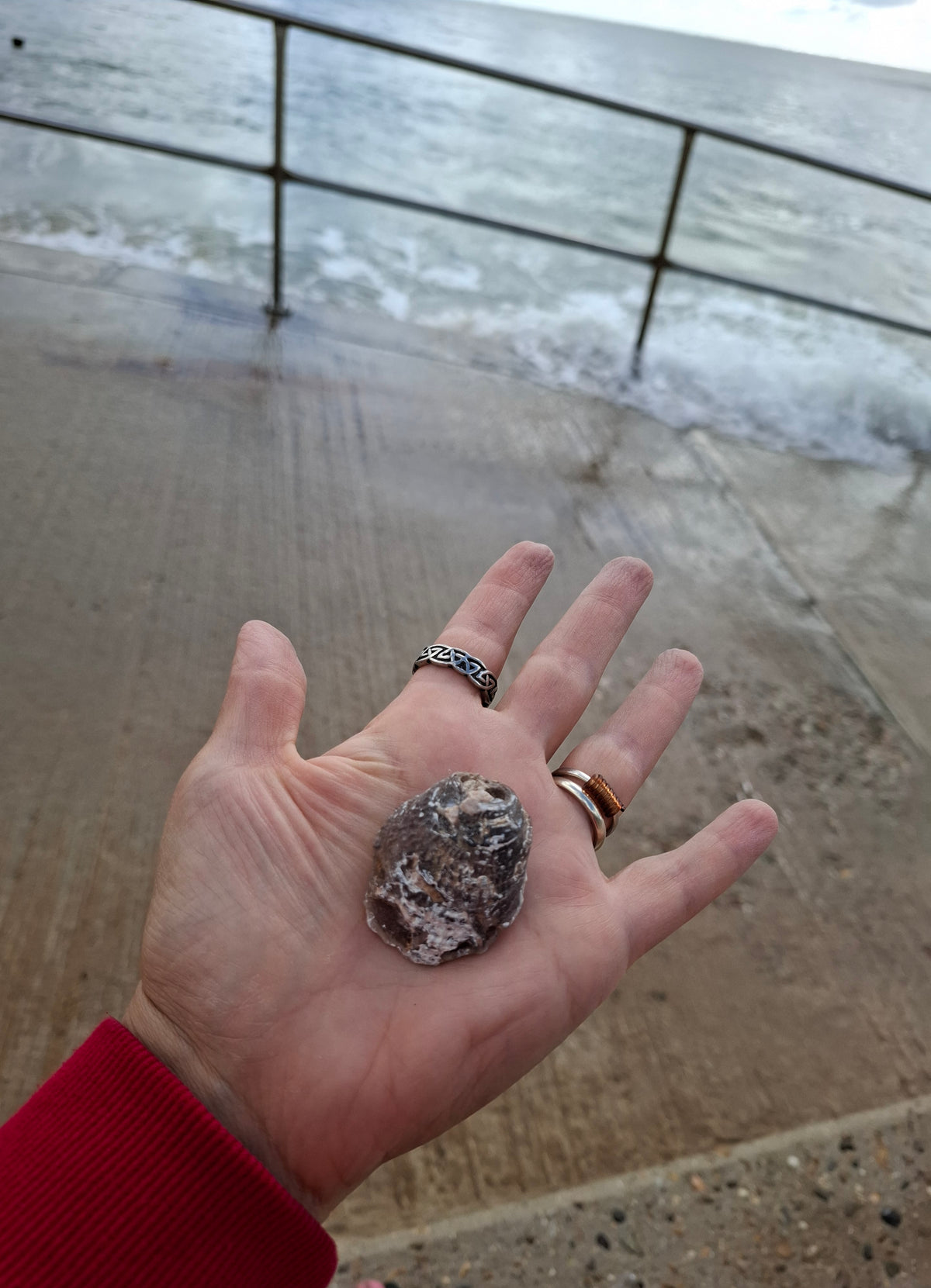 Chalcedony Oyster, Fossil (Ref: FO4)
