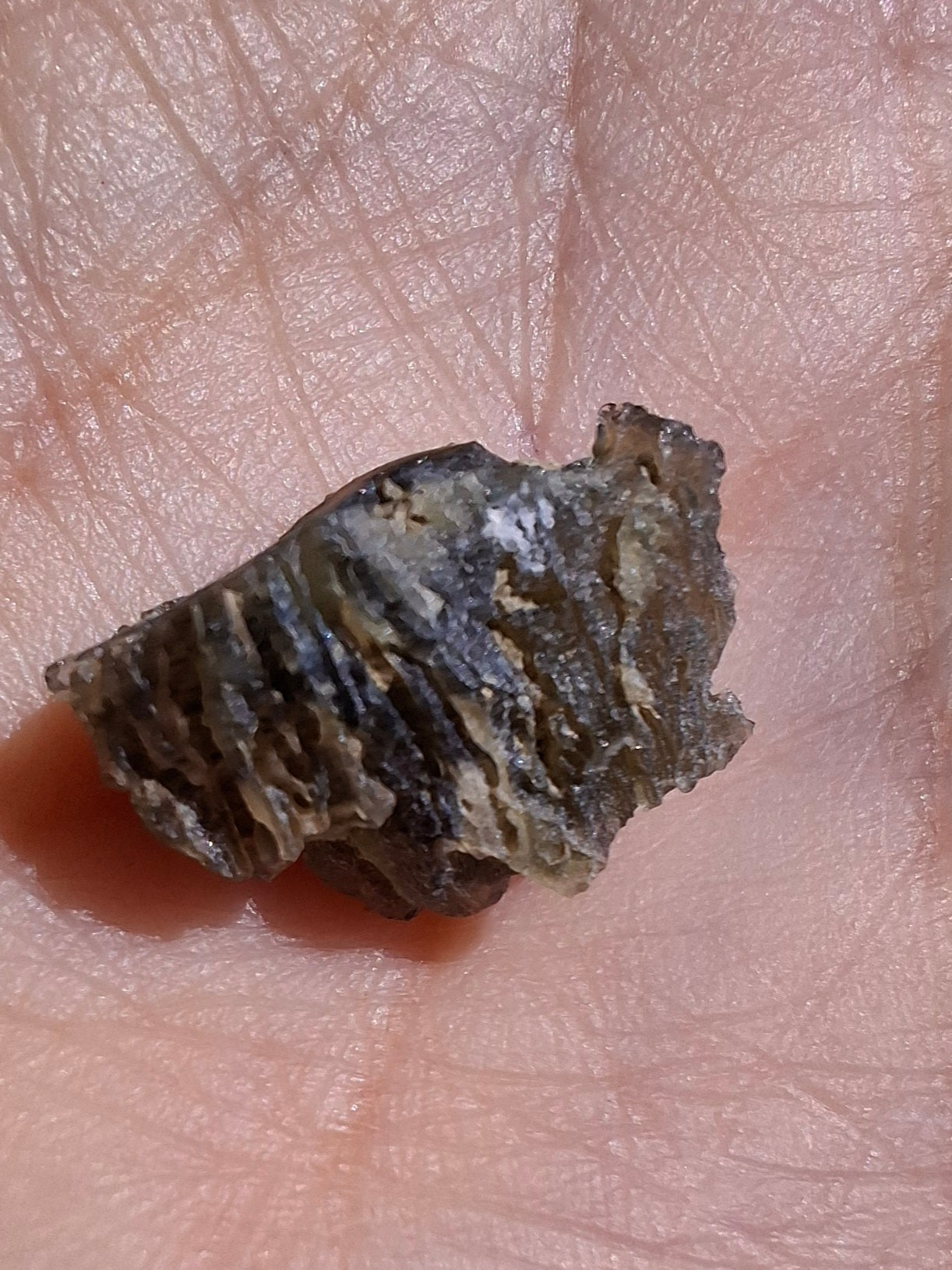 Moldavite Piece, 1.07g, Tektite (Ref: 1422)