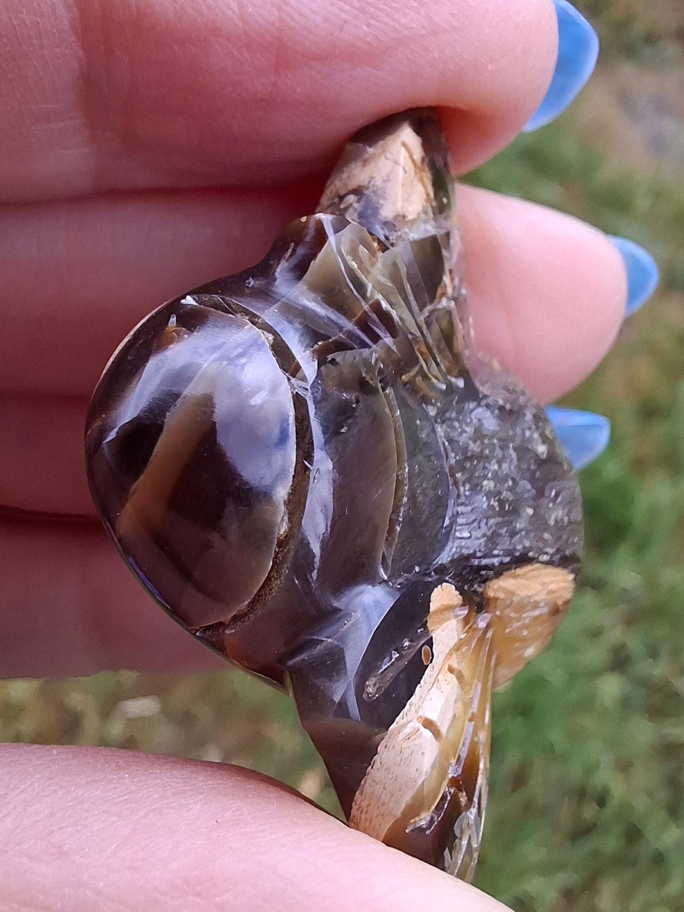Red Amber Honey Bee Carving, 6.93g, Fossil (Ref: Bee33)