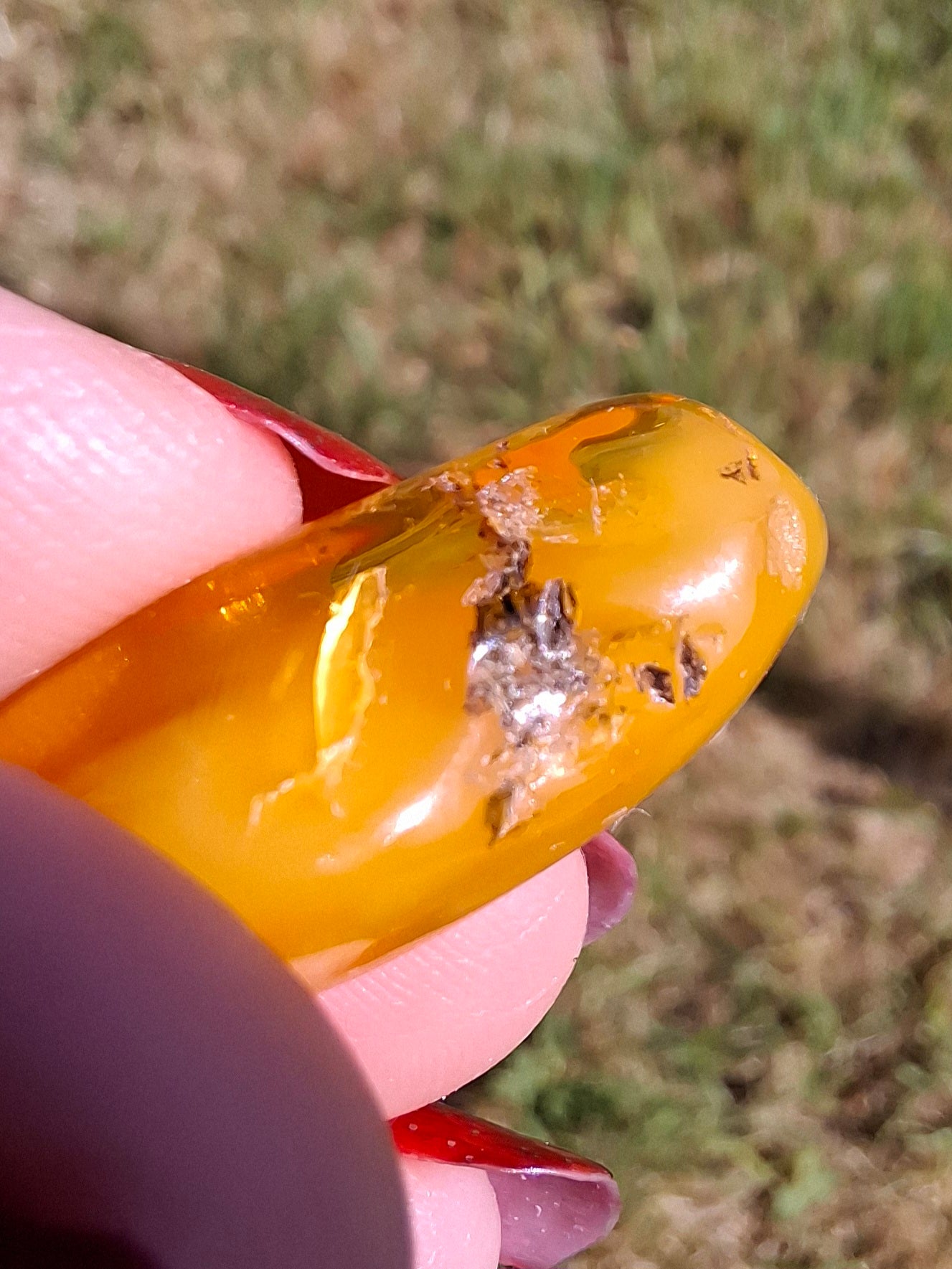 Baltic Amber, 1.74g, Fossil (Ref: A228)