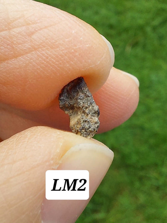 Lunar Meteorite, 0.23g, 'Moon Rock'(Ref: LM2)