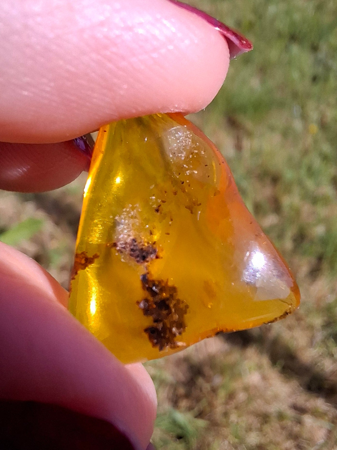 Baltic Amber, 0.91g, Fossil (Ref: A240)