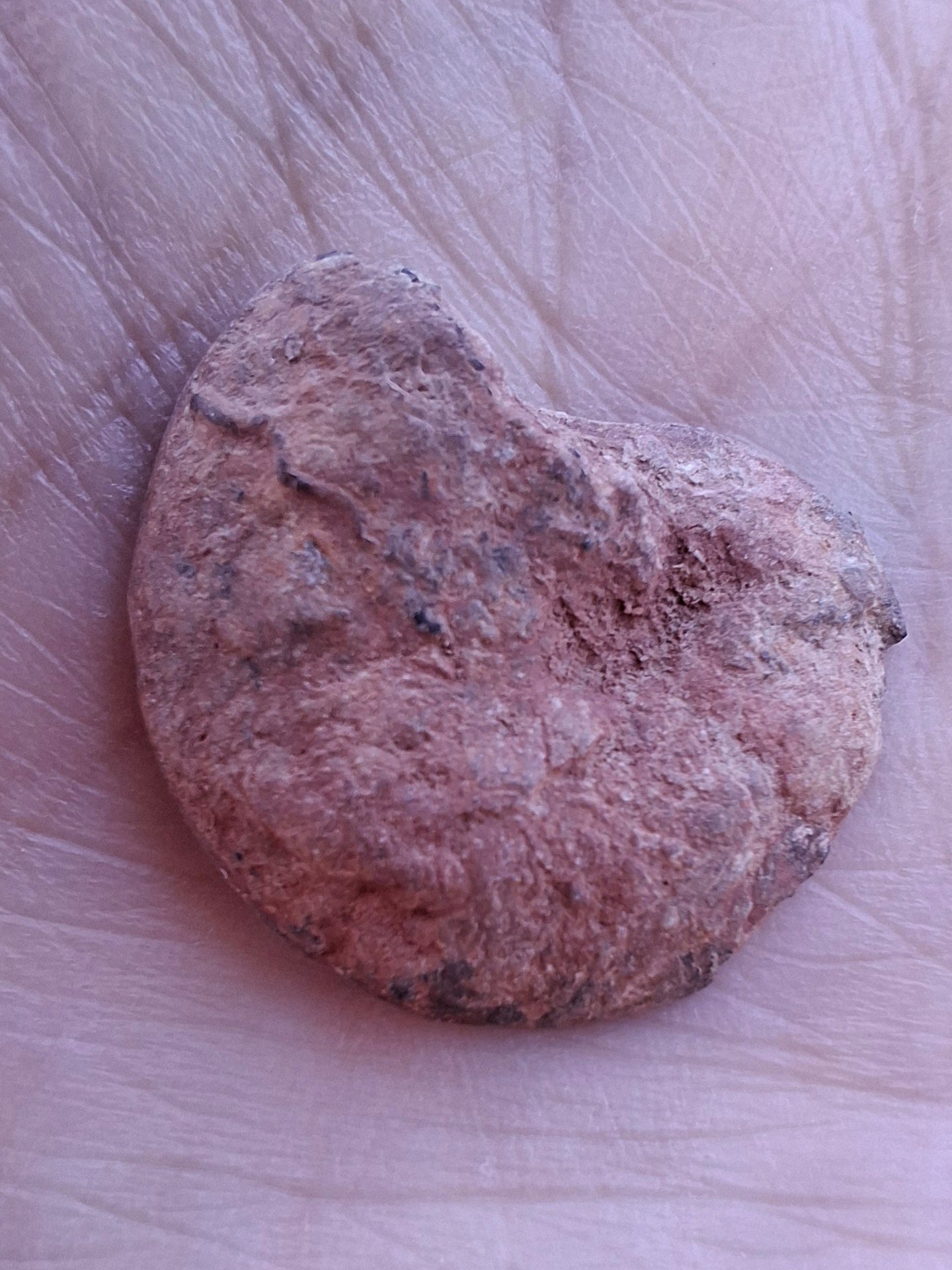 Small Haematite Ammonite HALF, 2.59g, Fossil (Ref: MA7)