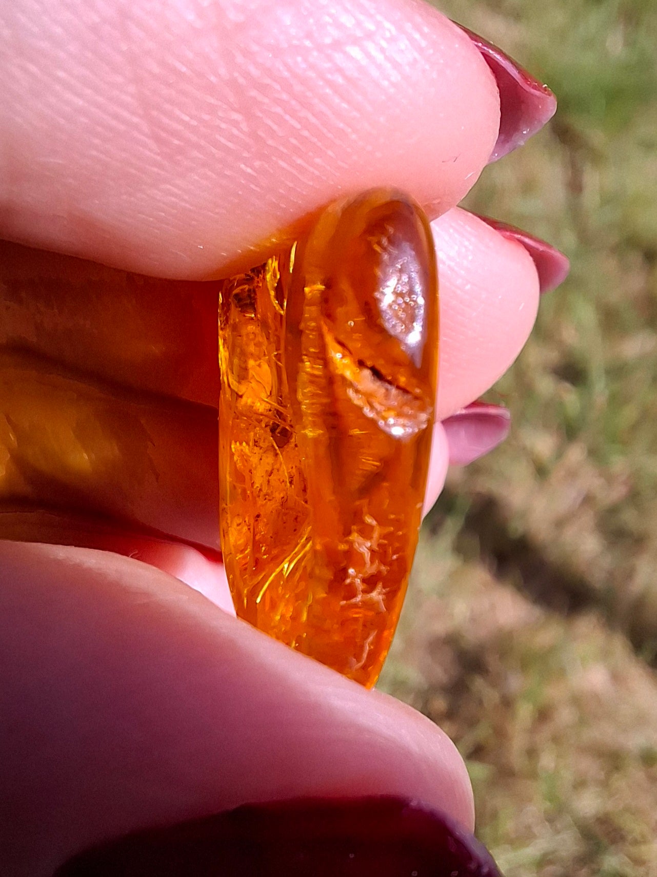 Baltic Amber, 1.51g, Fossil (Ref: A236)