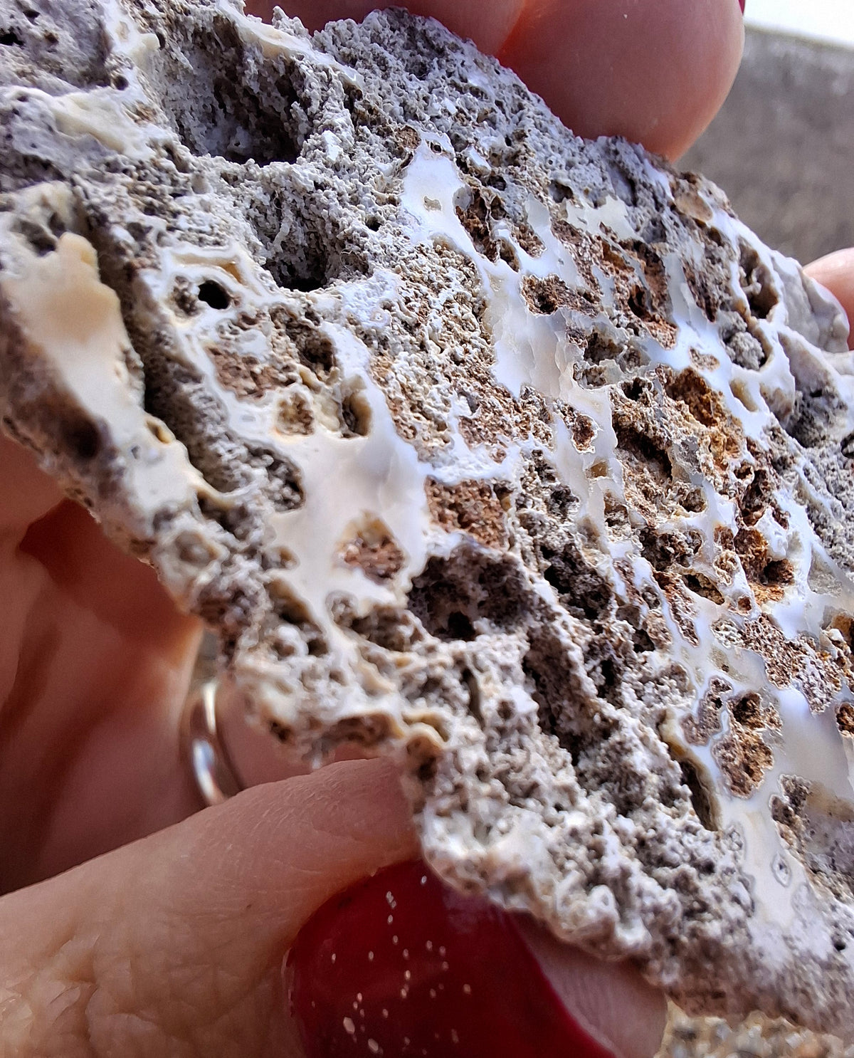 Fossilised Coral replaced by Chalcedony/Agate, Fossil (Ref: FCA2)