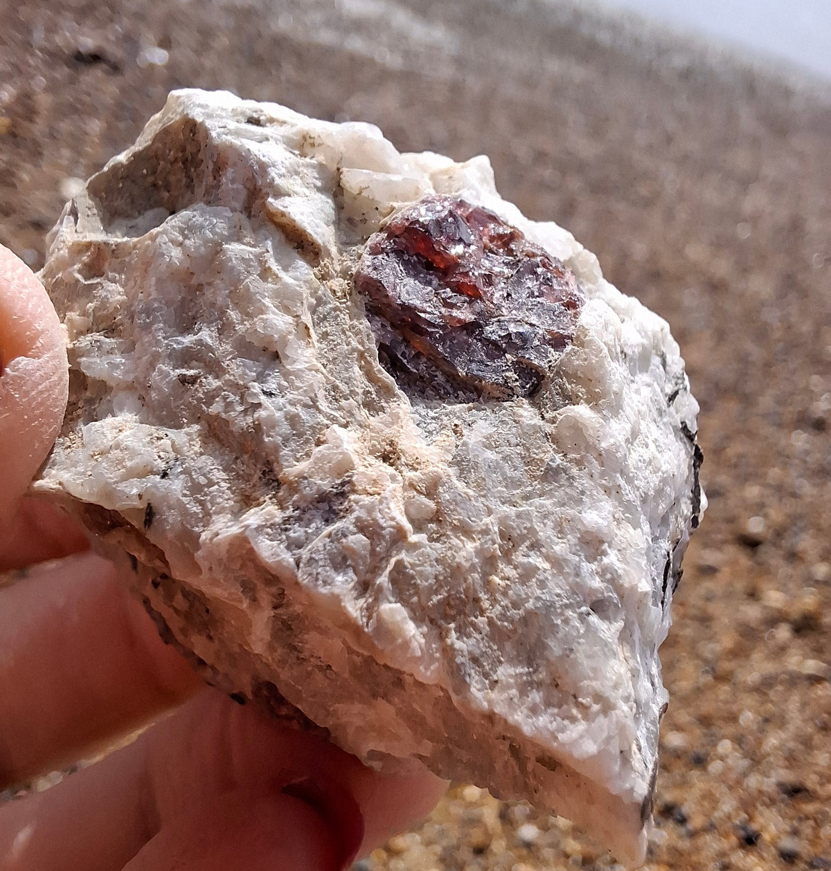 (Dig your own) Garnet in Matrix, Crystal (Ref: RG3)