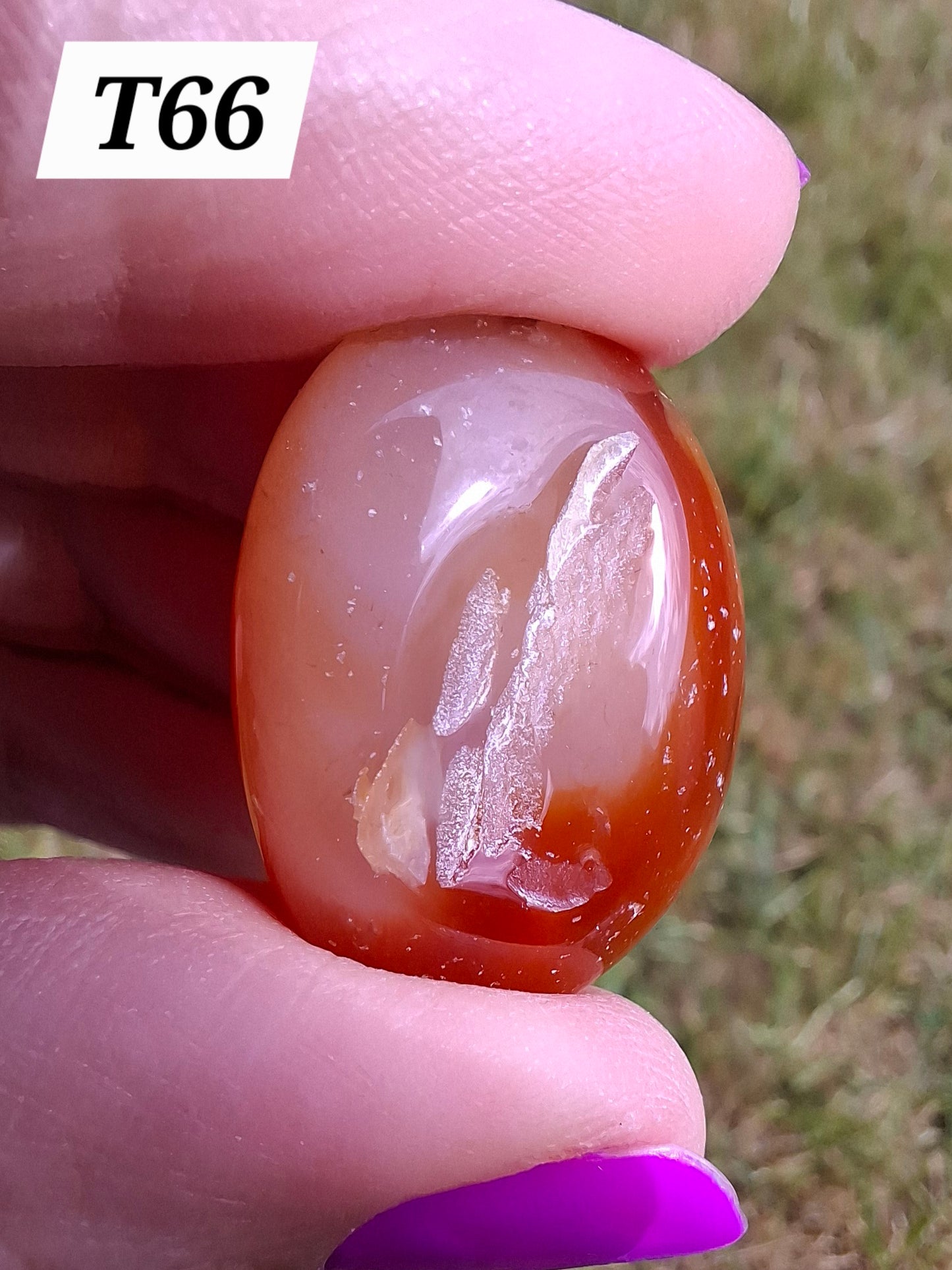 Carnelian, Tumble Stone, Crystal (Ref: T66)