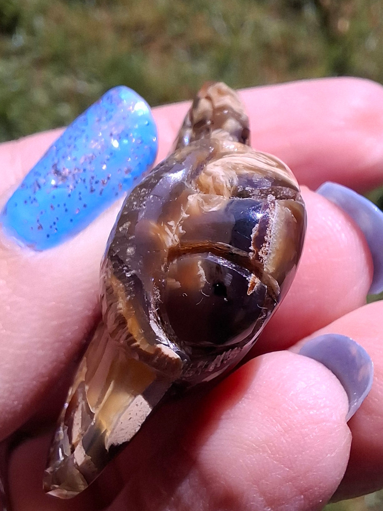Red Amber Honey Bee Carving, 6.93g, Fossil (Ref: Bee33)