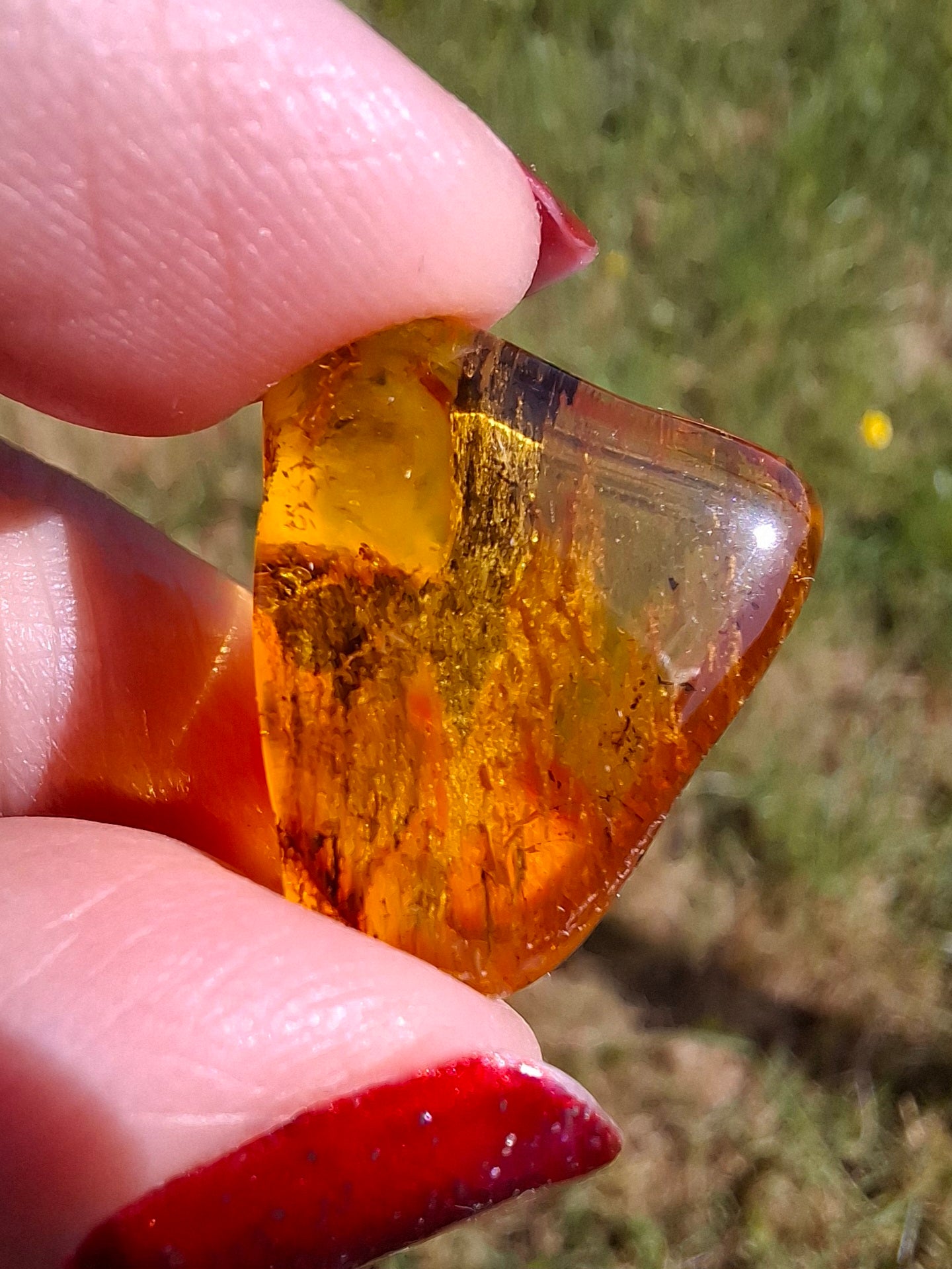 Baltic Amber, 1.61g, Fossil (Ref: A186)