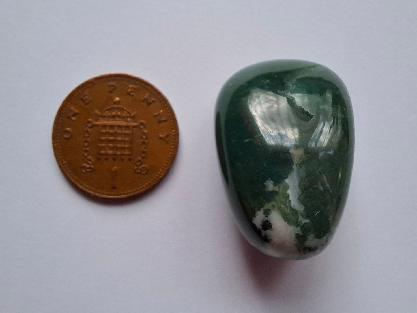 Tree Agate, Tumble Stone, Crystal (Ref: T4)