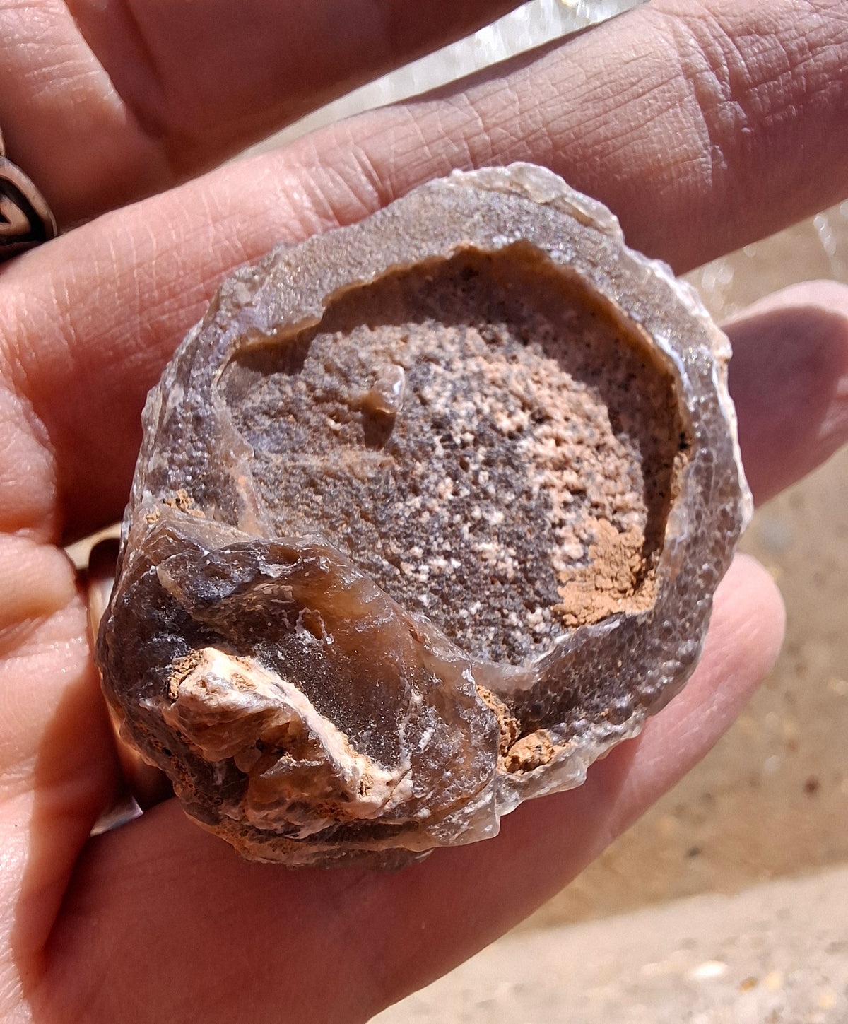Chalcedony Oyster, Fossil (Ref: FO4)