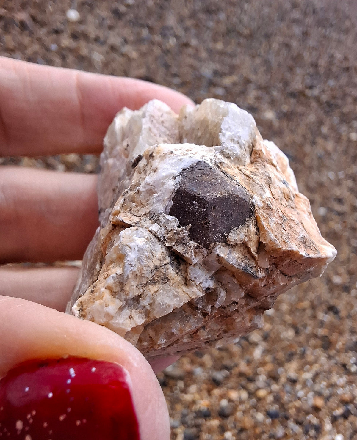 (Dig your own) Garnet in Matrix, Crystal (Ref: RG1)