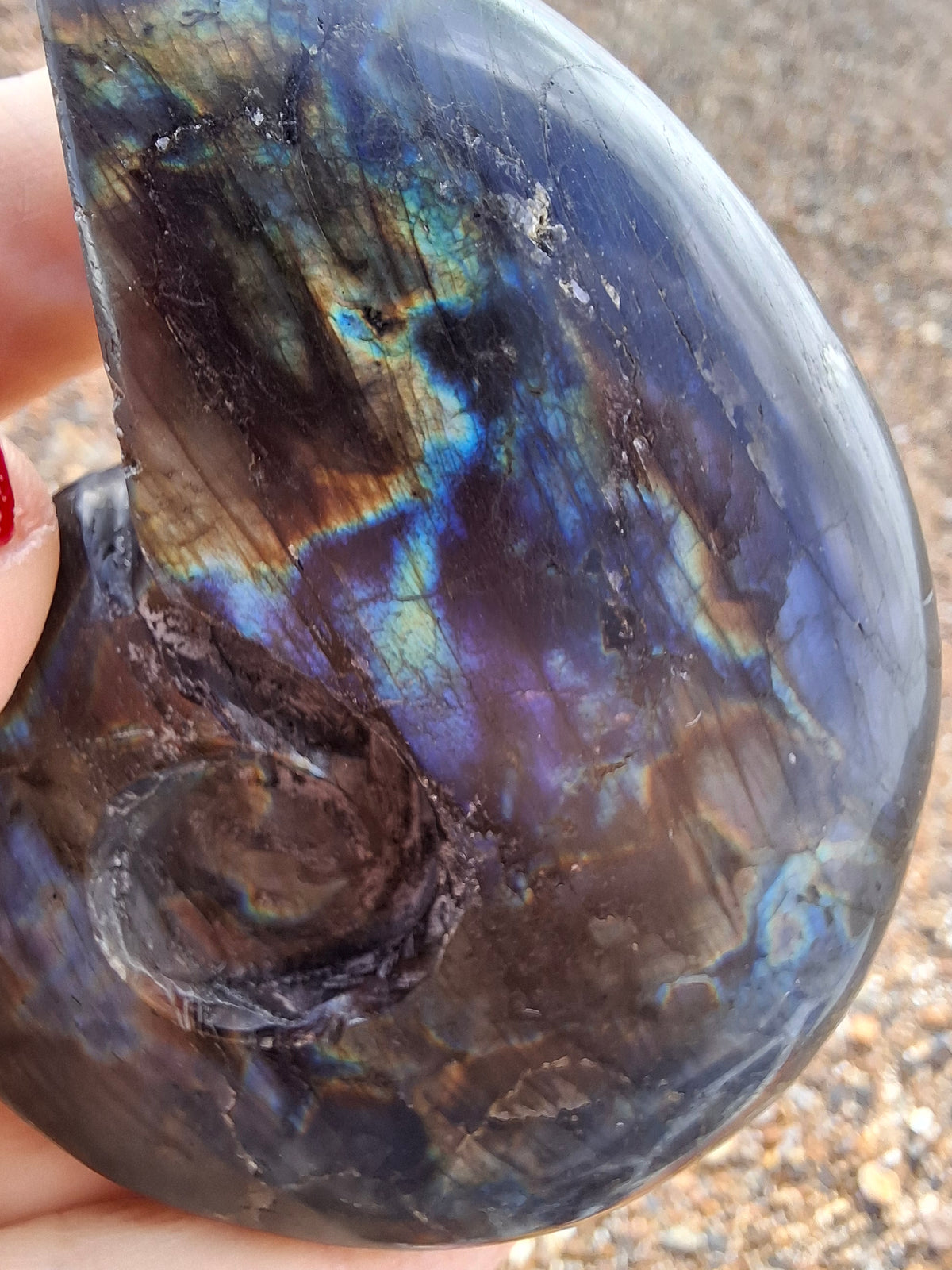 Labradorite Ammonite Carving, 153.97g, Crystal (Ref: laba2)