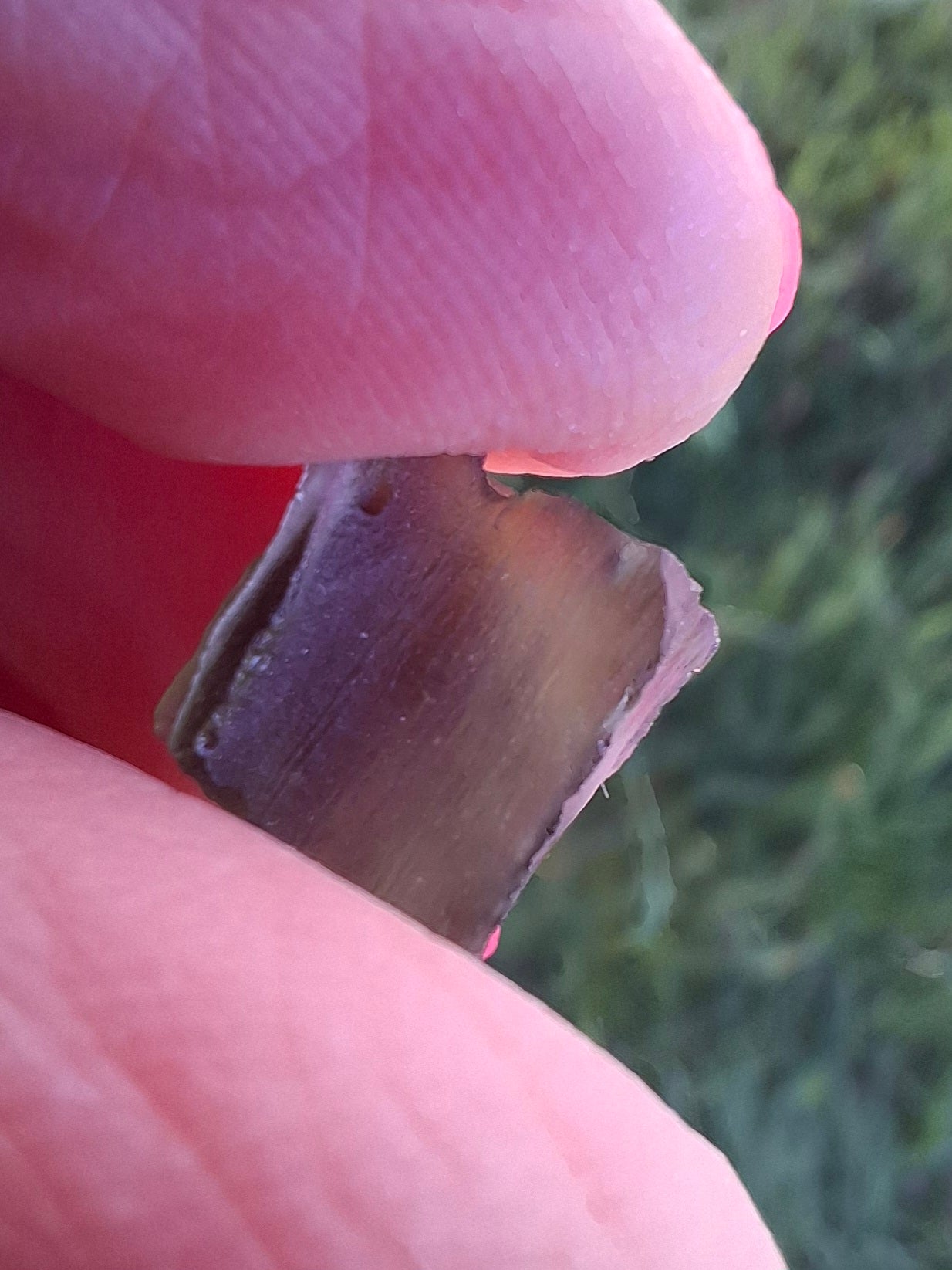 Moldavite Piece, 0.86g, Tektite (Ref: 1406)