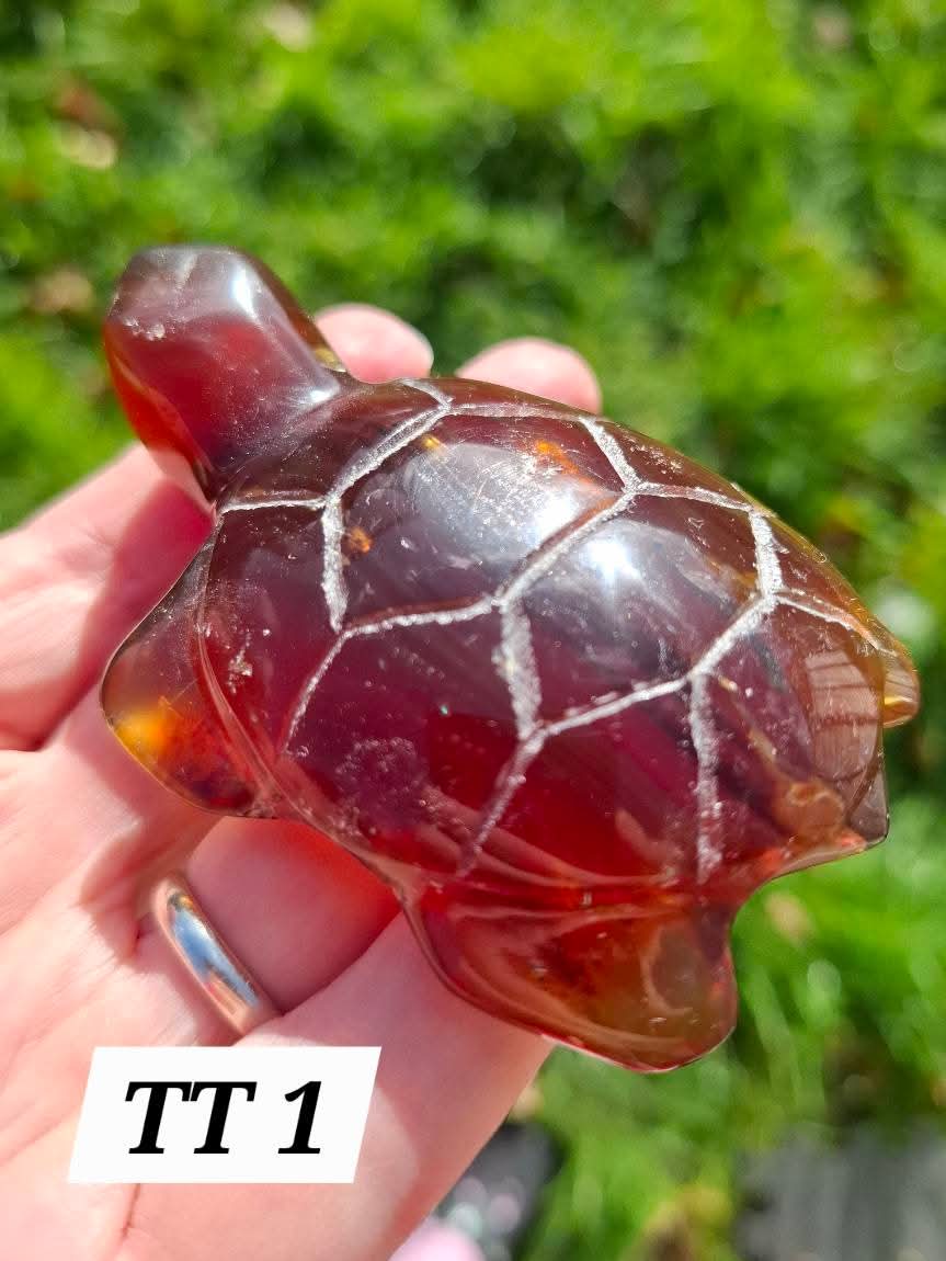 Red Amber Turtle, 49.15g, Carving, Fossil (Ref: TT1)