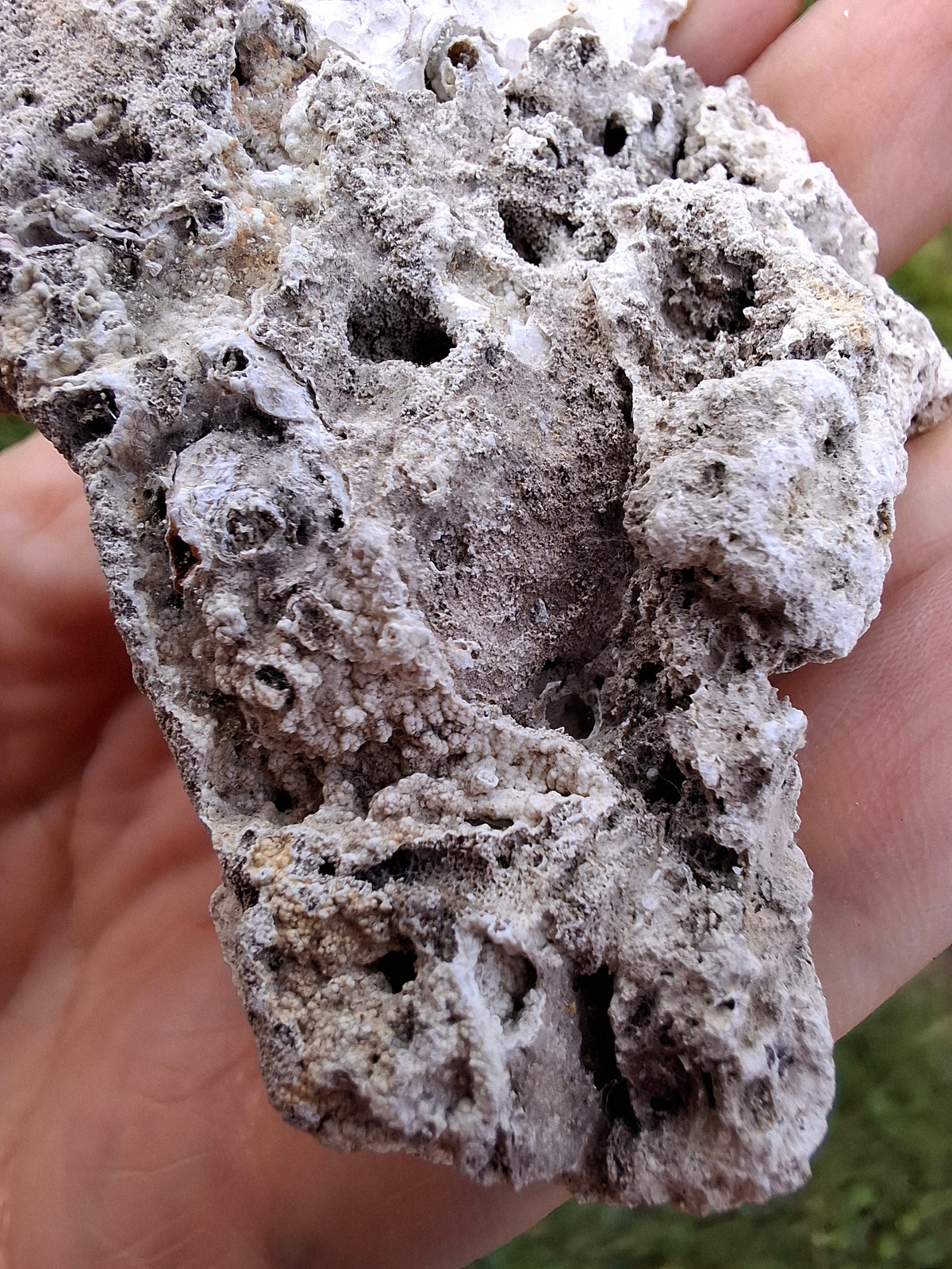 Fossilised Coral replaced by Chalcedony/Agate, Fossil (Ref: FCA1)