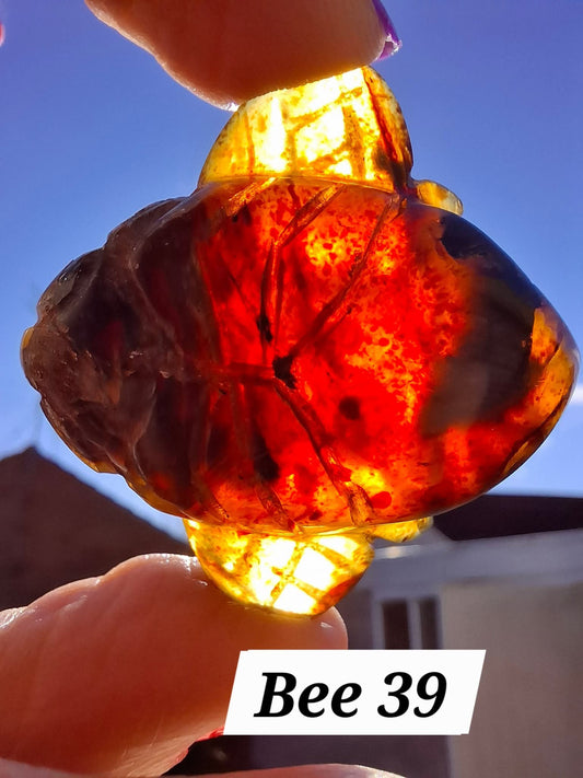 Red Amber Honey Bee Carving, 10.66g, Fossil (Ref: Bee39)