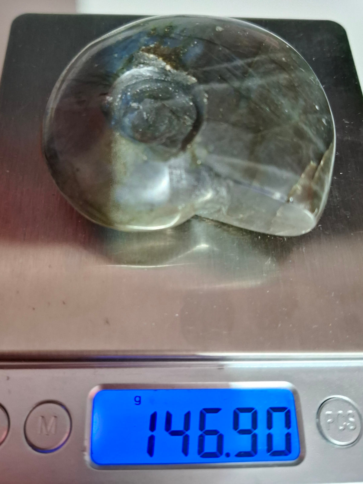 Labradorite Ammonite Carving, 146.90g, Crystal (Ref: laba5)