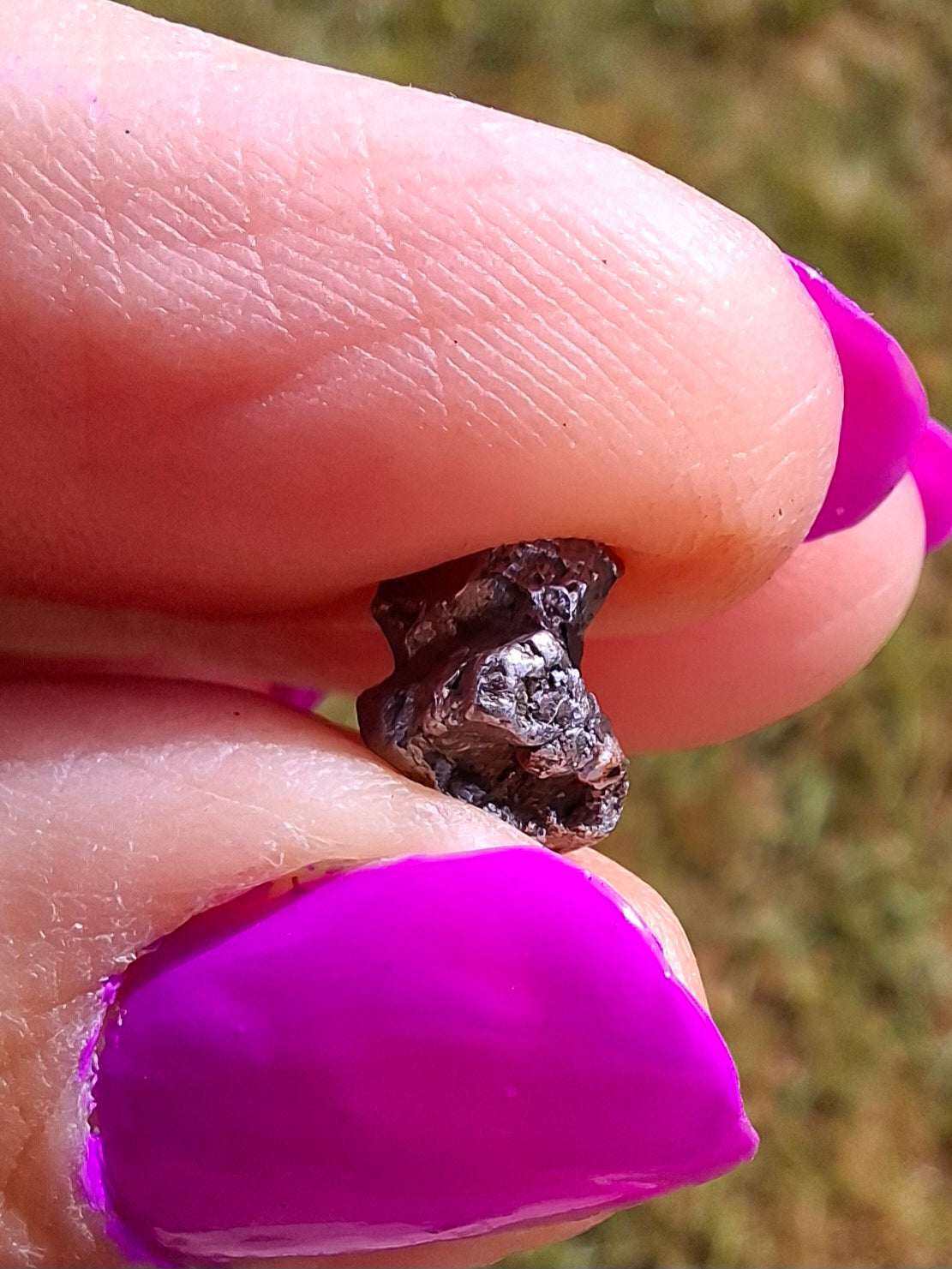 Campo del Cielo, 1.18g, Nickel Iron Meteorite (Ref: C10)