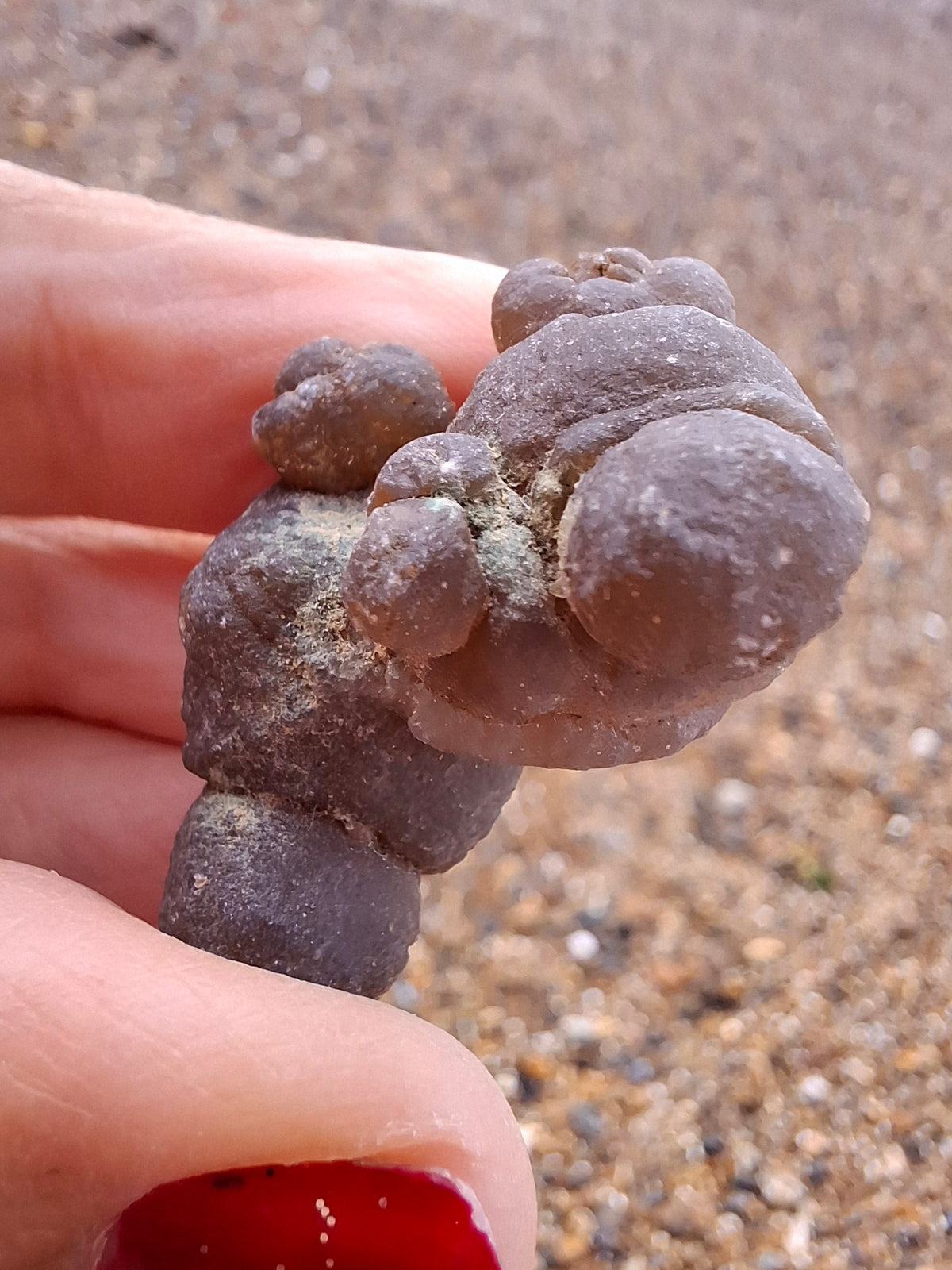 Nebula Chalcedony, 13.55g, Fossil (Ref: NC8)