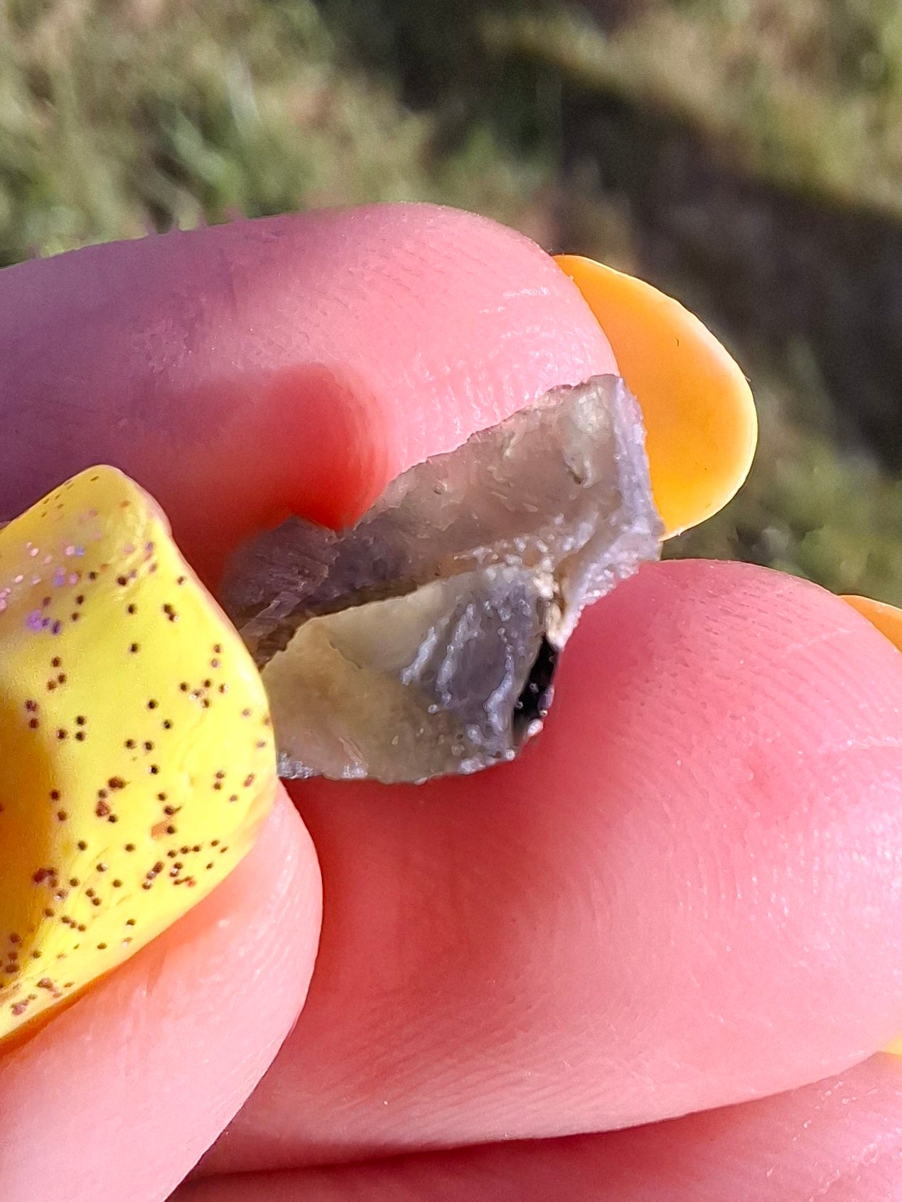 Moldavite Piece, 0.75g, Tektite (Ref: 1483)