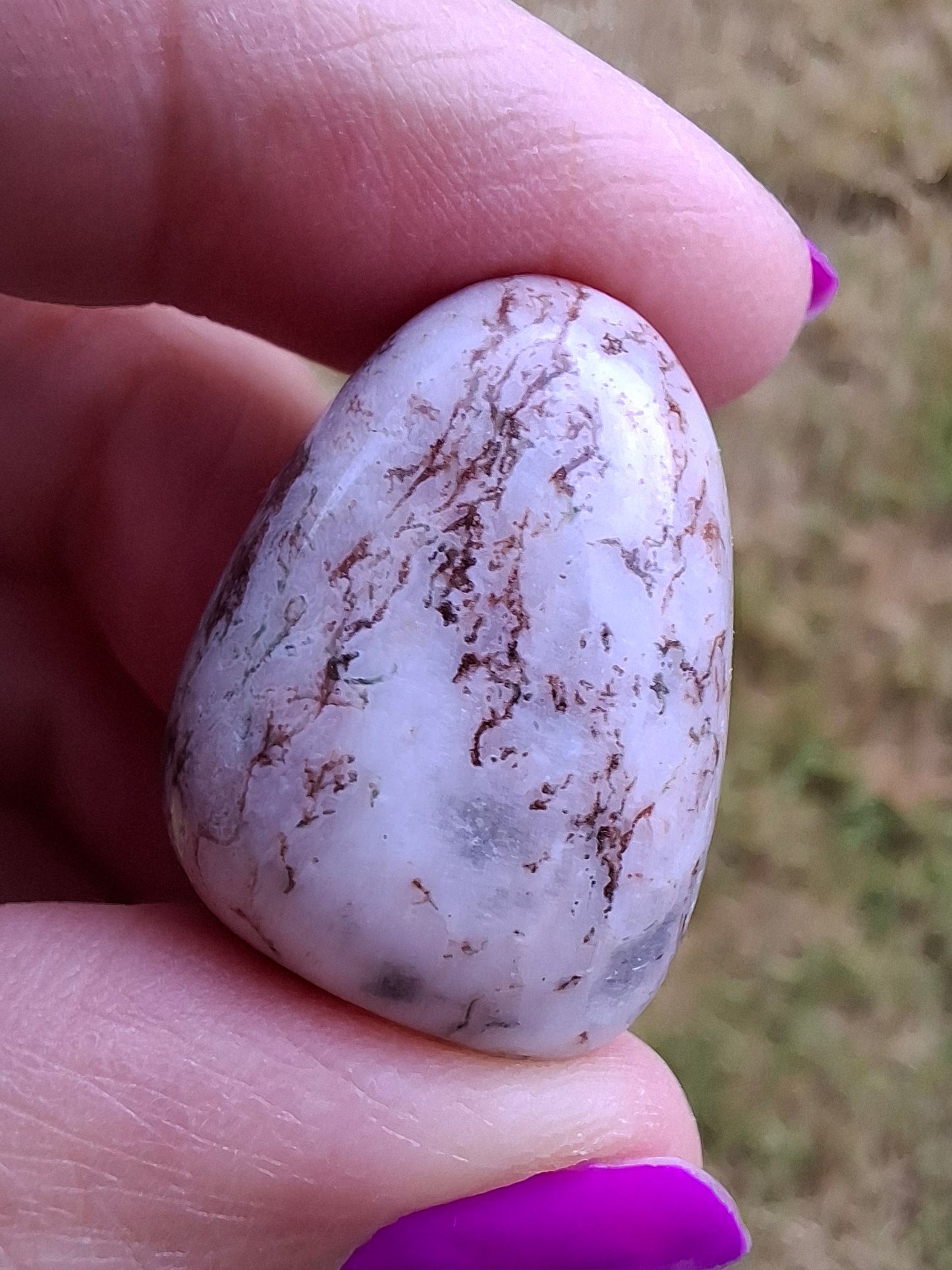 Tree Agate, Tumble Stone, Crystal (Ref: T6)