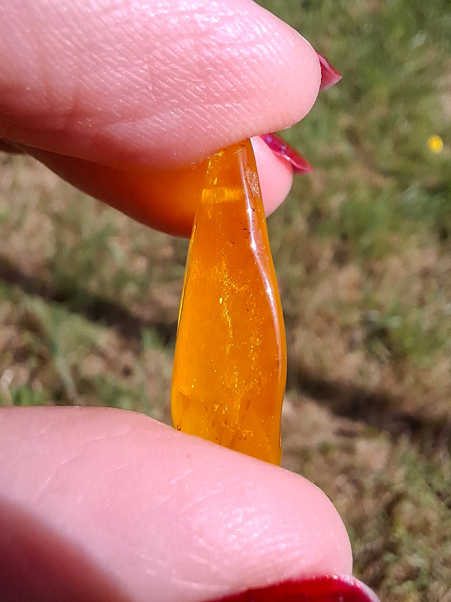 Baltic Amber, 1.55g, Fossil (Ref: A219)
