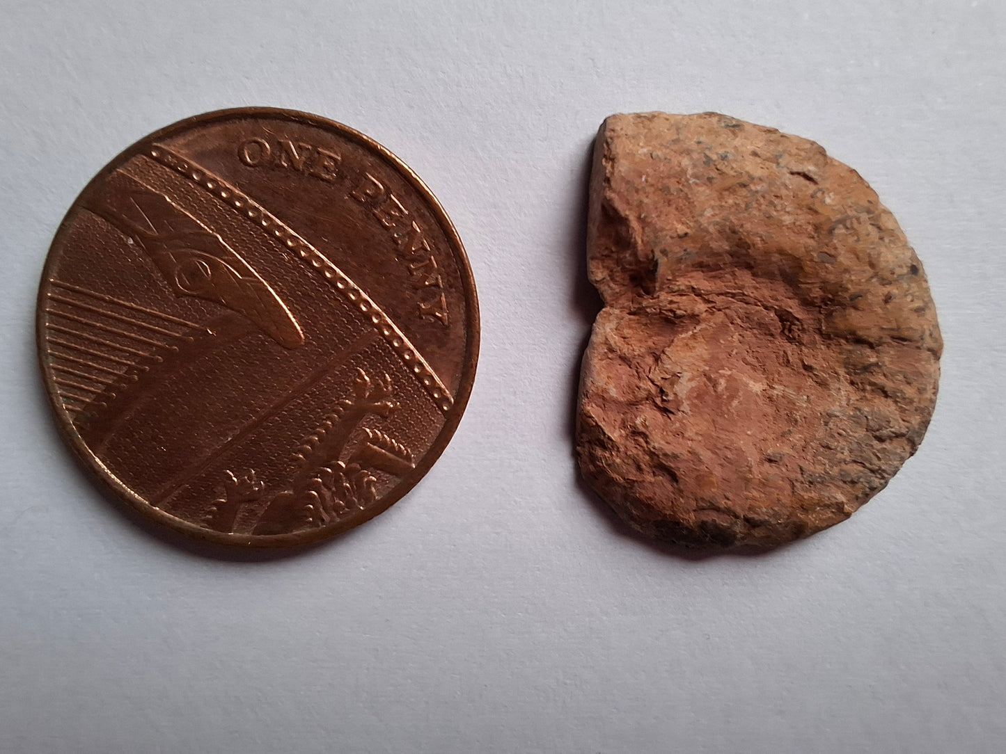 Small Haematite Ammonite HALF, 1.66g, Fossil (Ref: MA2)