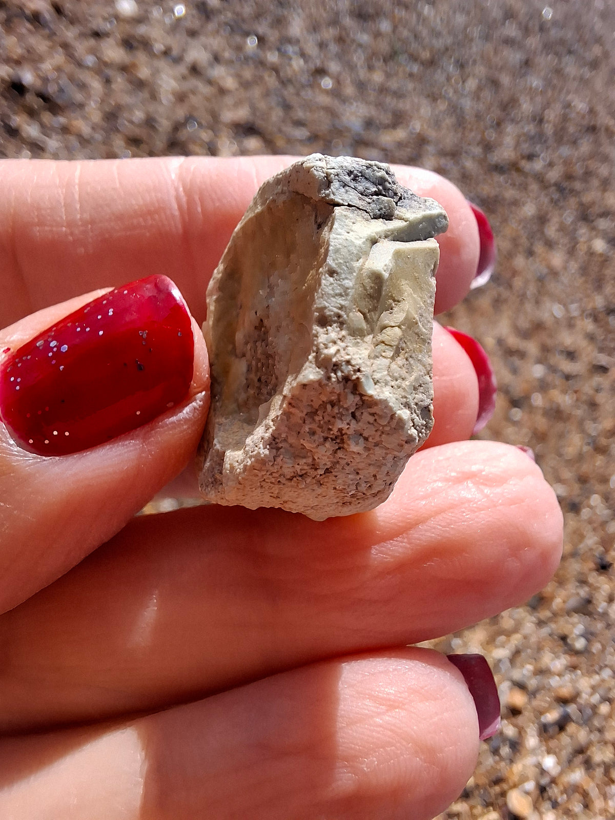 Sauropod Dinosaur Coprolite, 9.31g, Fossil (Ref: DP2)