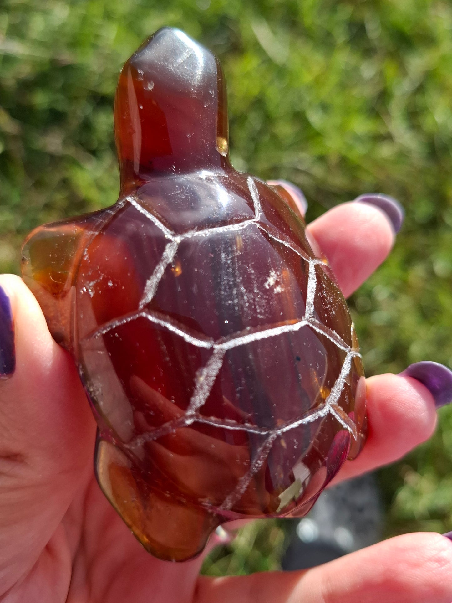 Red Amber Turtle, 49.15g, Carving, Fossil (Ref: TT1)