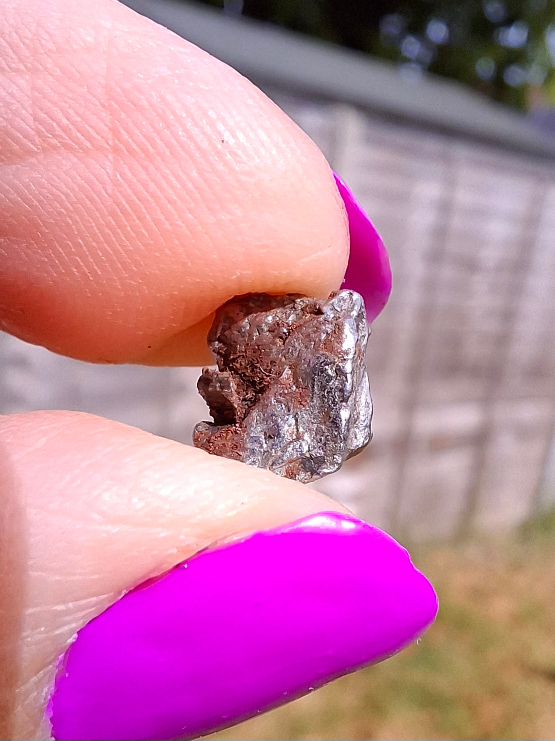 Campo del Cielo, 1.20g, Nickel Iron Meteorite (Ref: C12)