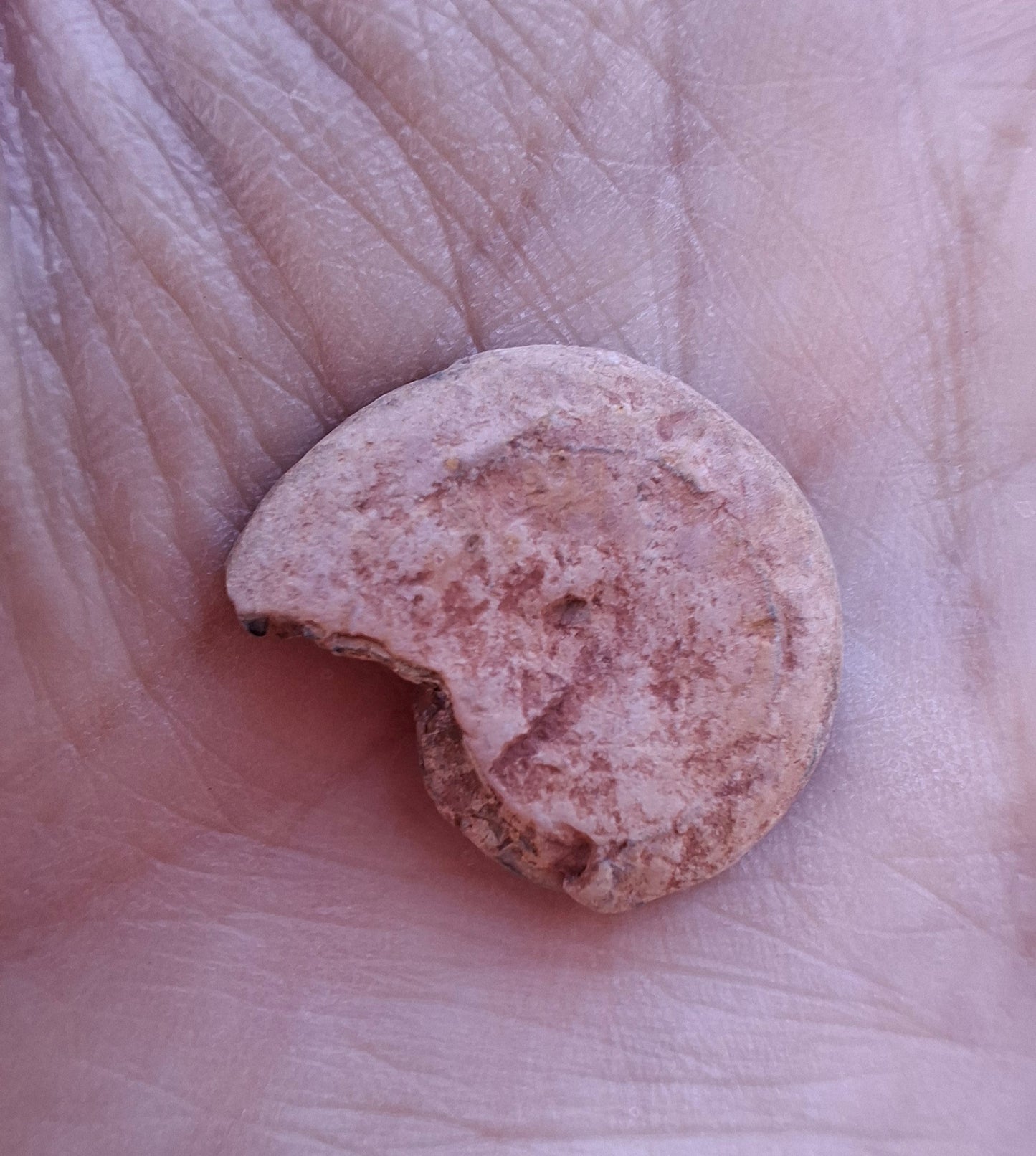 Small Haematite Ammonite HALF, 2.19g, Fossil (Ref: MA3)