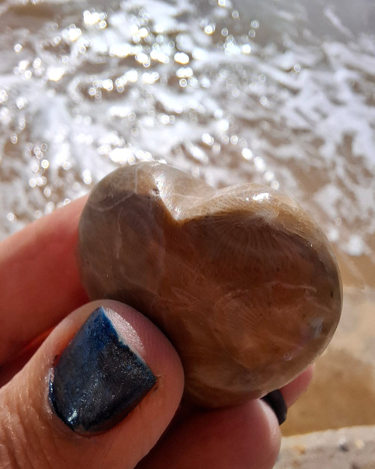 Fossil Coral Heart, (Ref:CoH1)