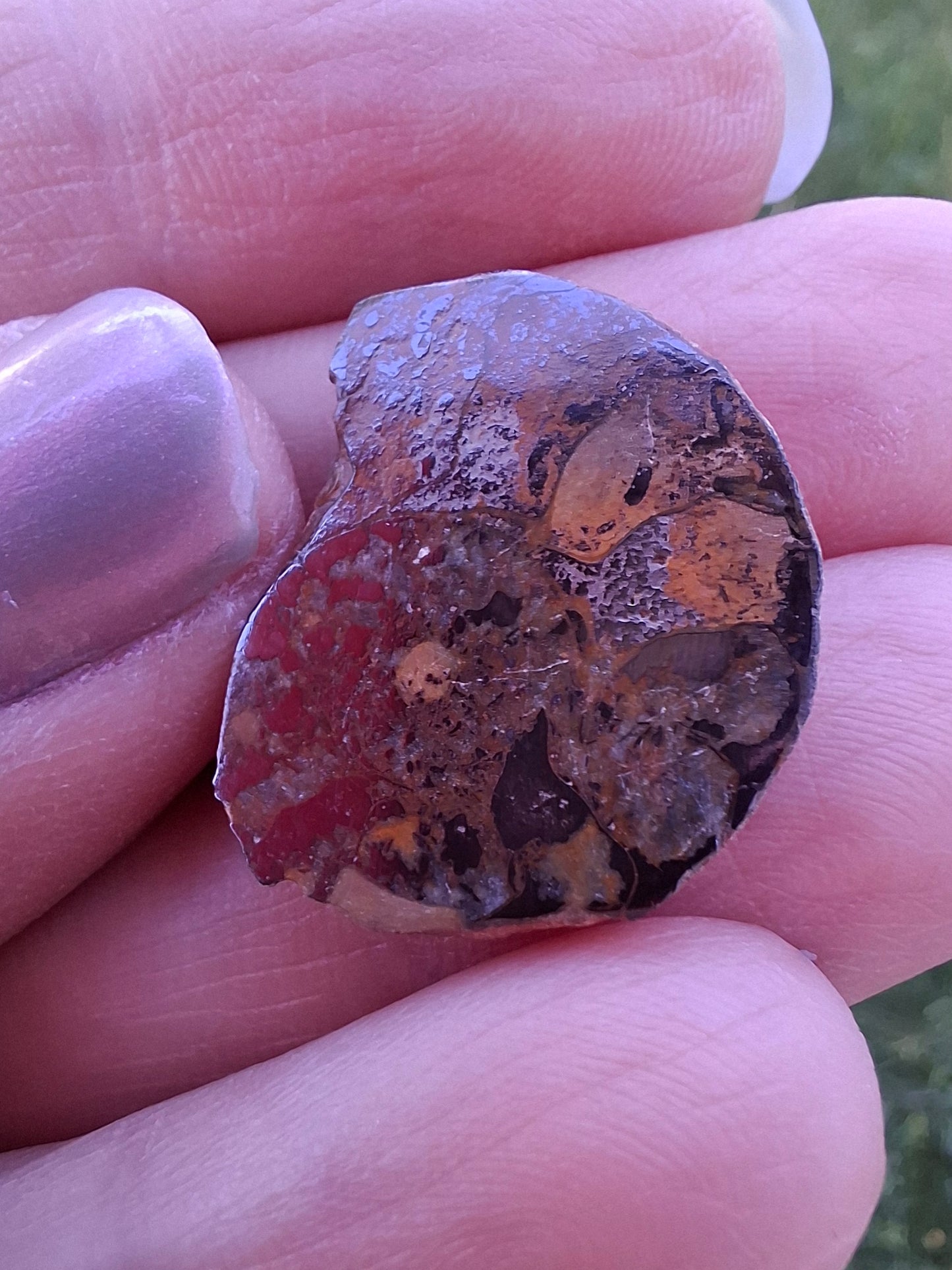 Small Haematite Ammonite HALF, 2.59g, Fossil (Ref: MA7)