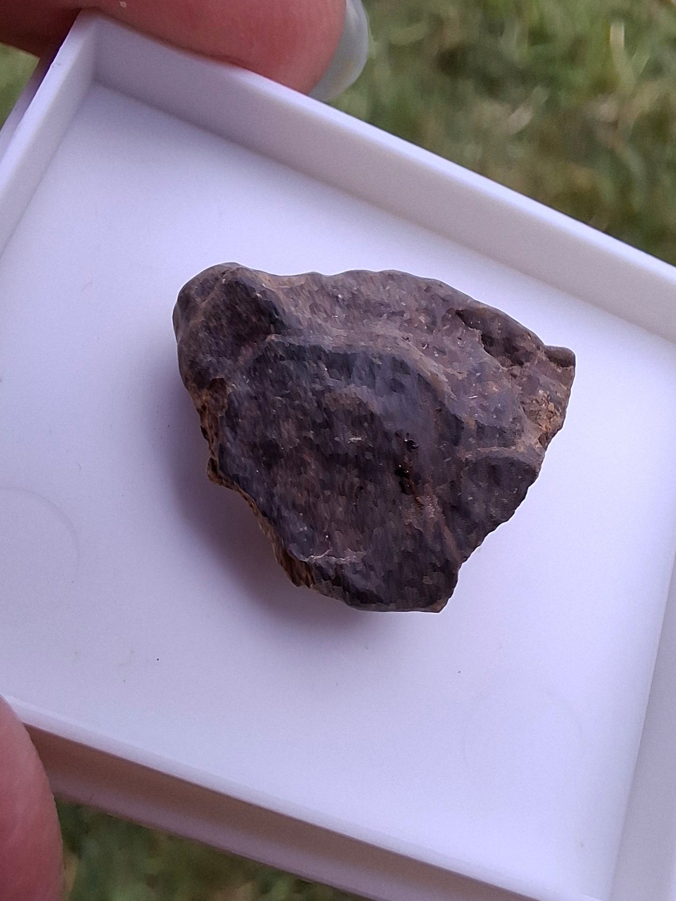 Chondrite, Meteorite (Ref: CM10)