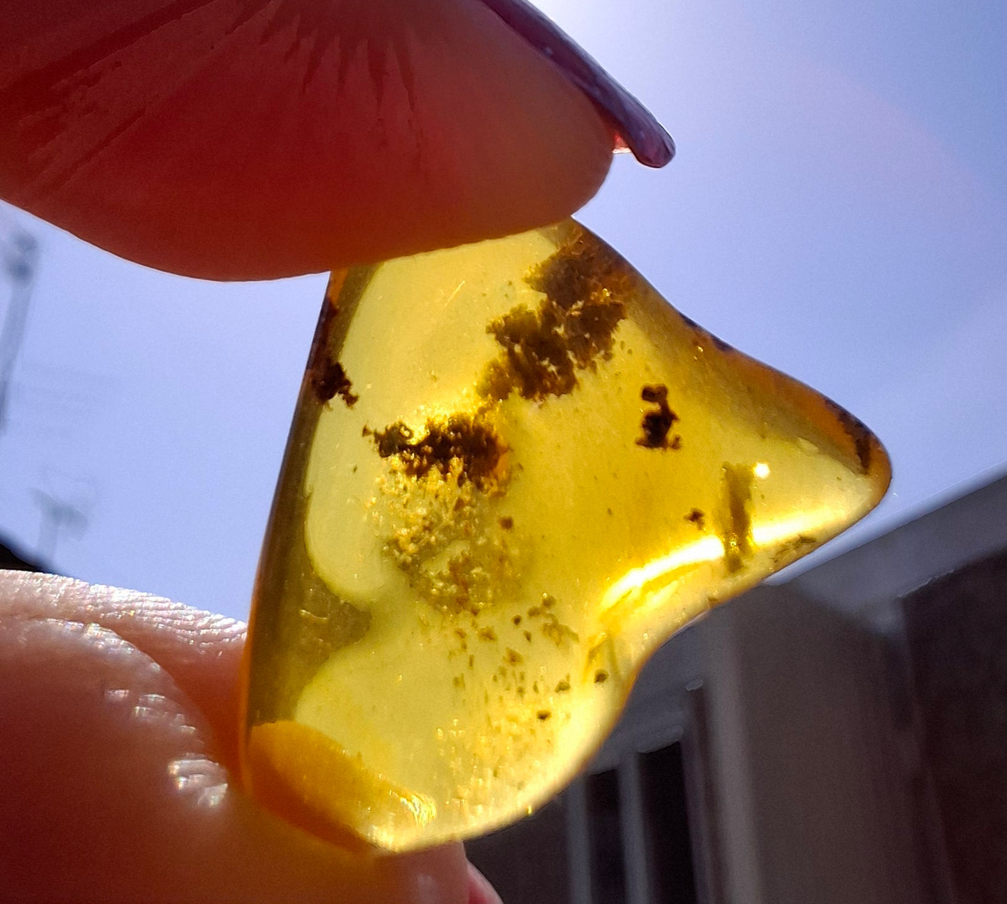 Baltic Amber, 0.91g, Fossil (Ref: A240)