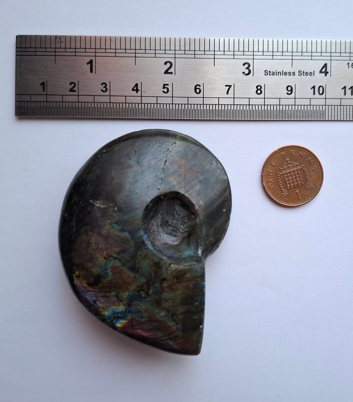Labradorite Ammonite Carving, 89.31g, Crystal (Ref: laba6)