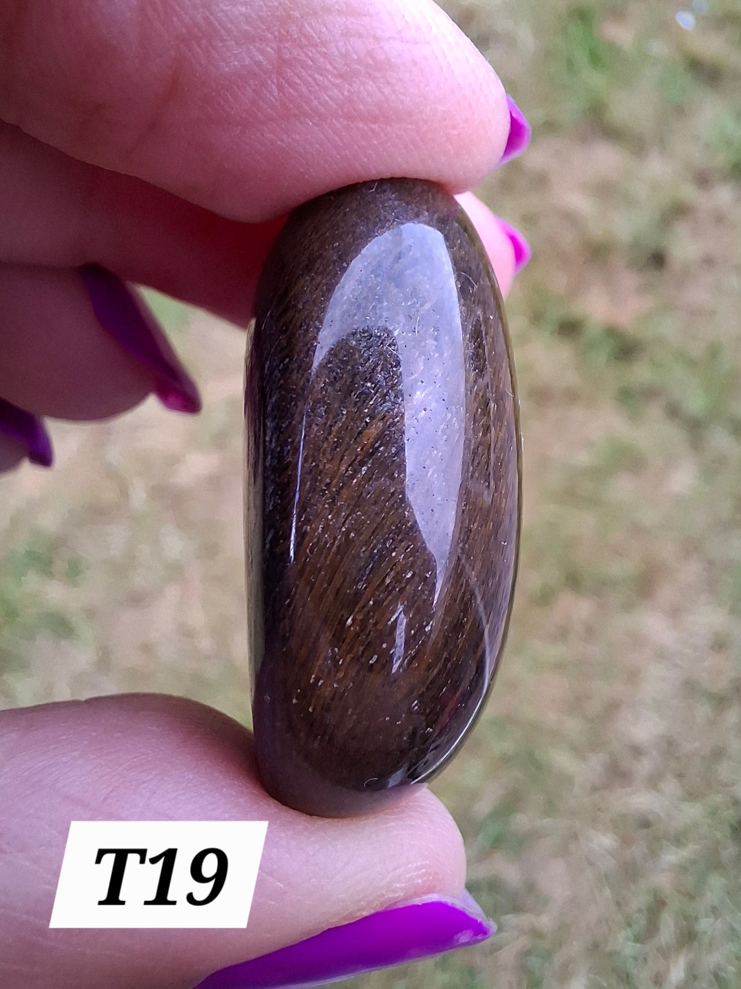 Blue Tigers Eye, Tumble Stone, Crystal (Ref: T19)