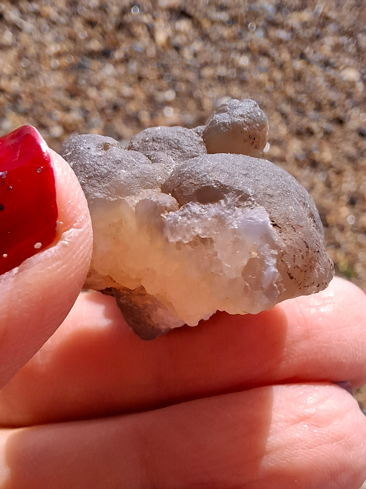 Nebula Chalcedony, 18.80g, Fossil (Ref: NC9)