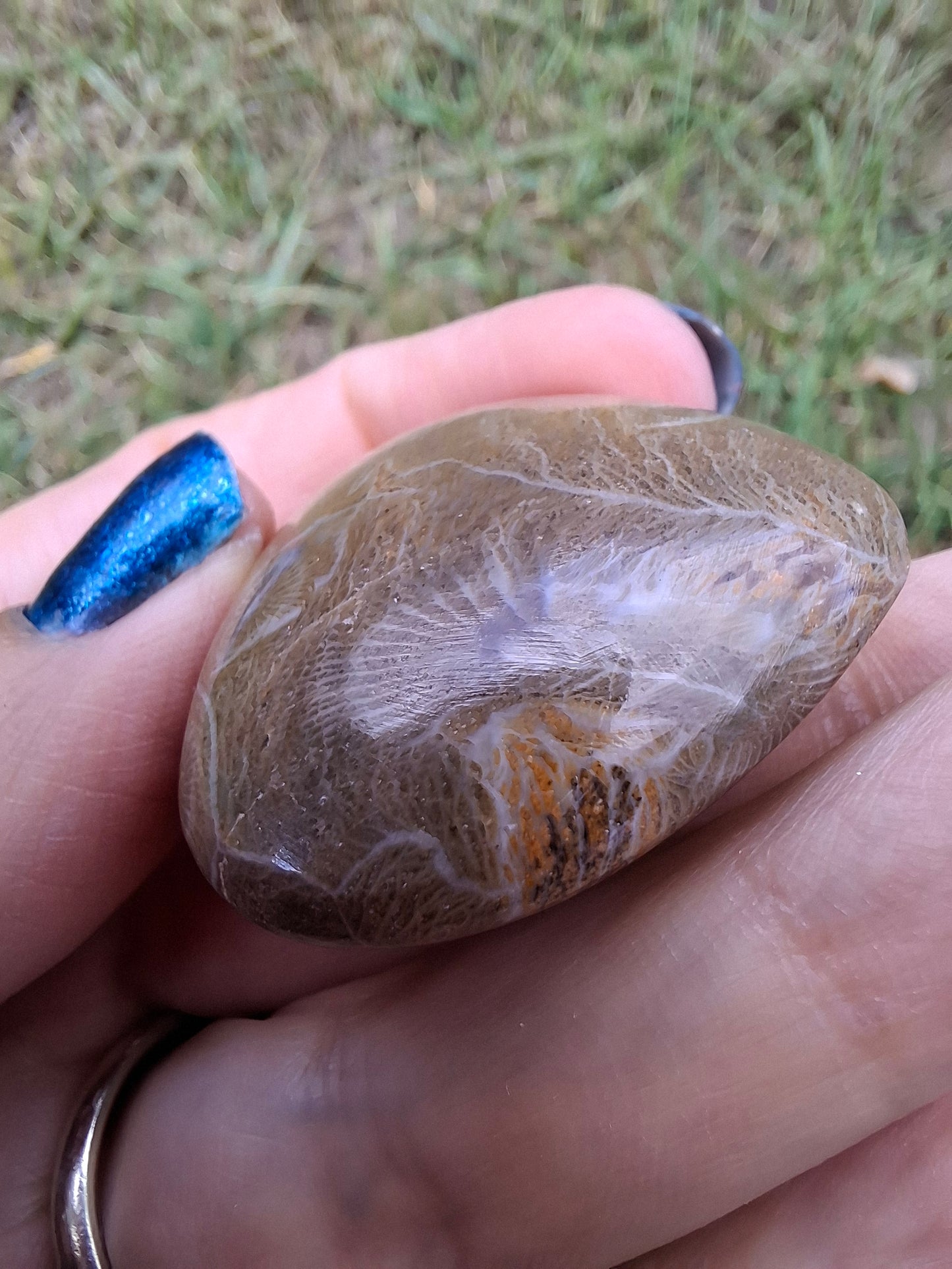 Fossil Coral Heart, (Ref:CoH1)