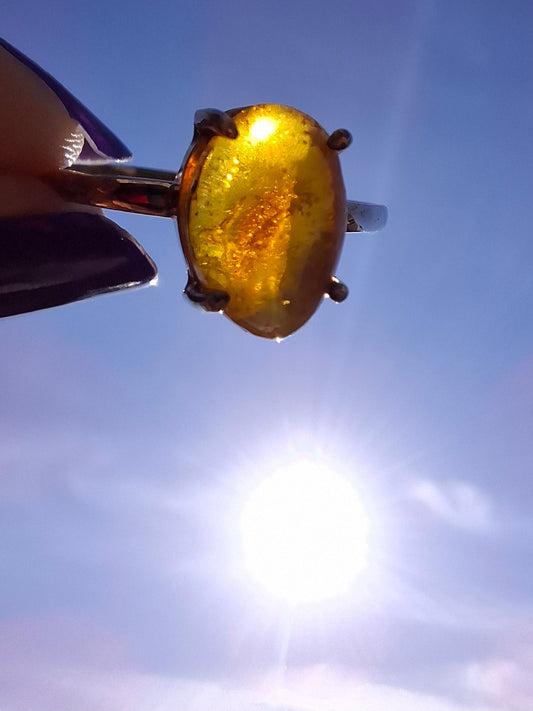 Baltic Amber Ring, size large Y, 925 Silver, Fossil (Ref: AR38)