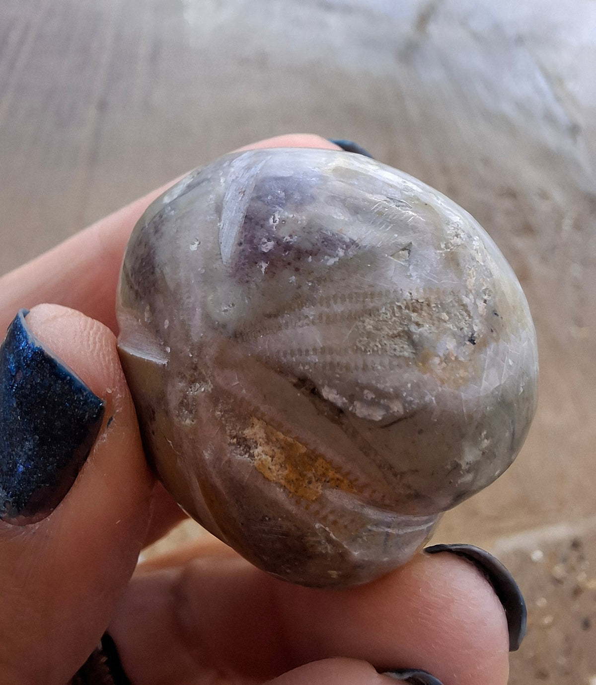 Polished Sea Urchin, Fossil (Ref: SU6)