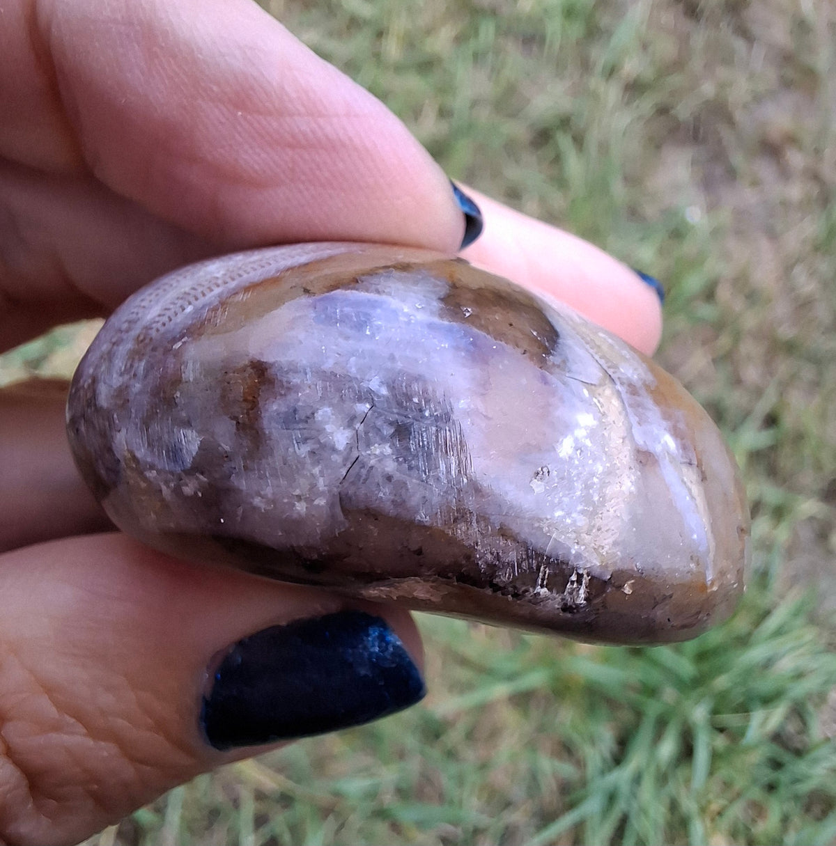 Polished Sea Urchin, Fossil (Ref: SU2)