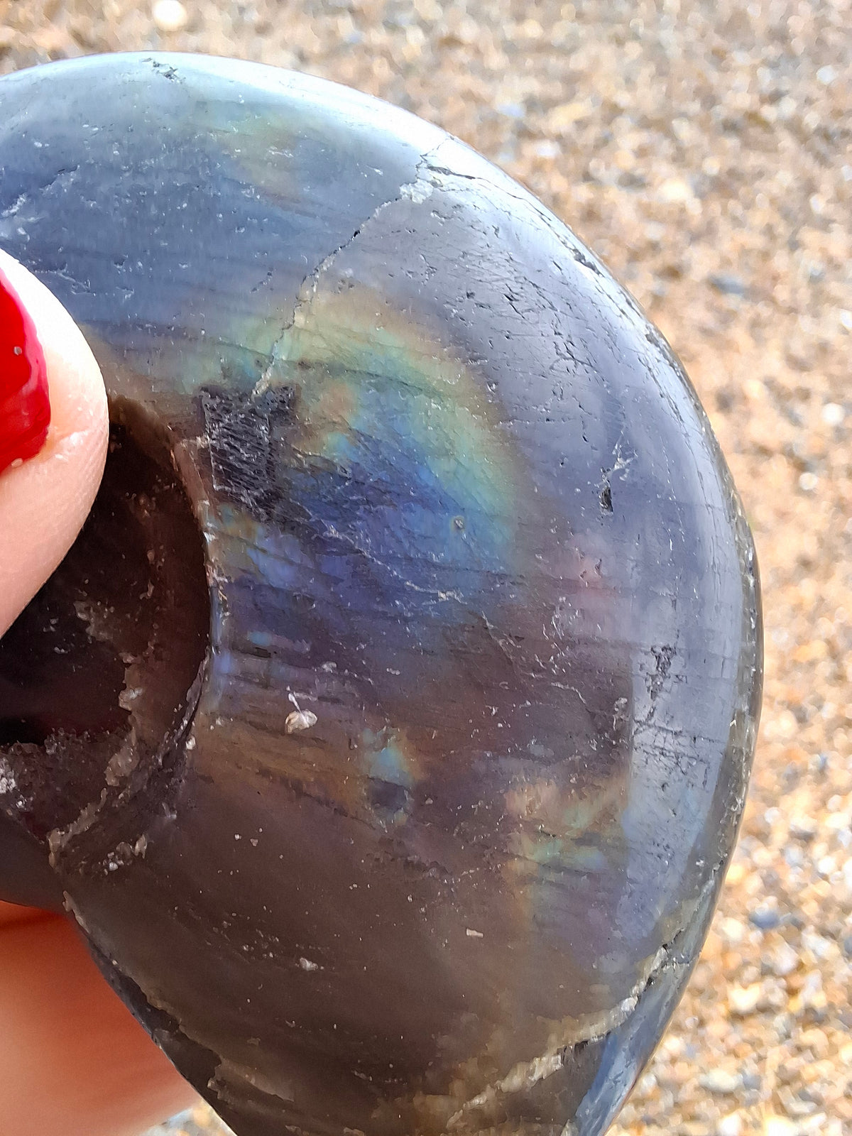Labradorite Ammonite Carving, 89.31g, Crystal (Ref: laba6)