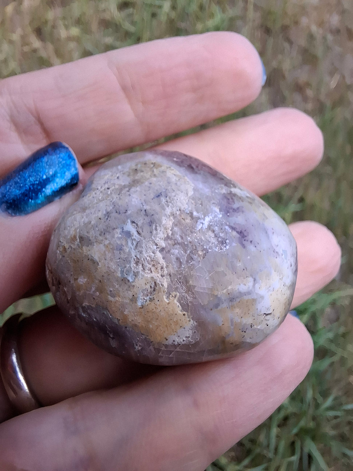 Polished Sea Urchin, Fossil (Ref: SU6)