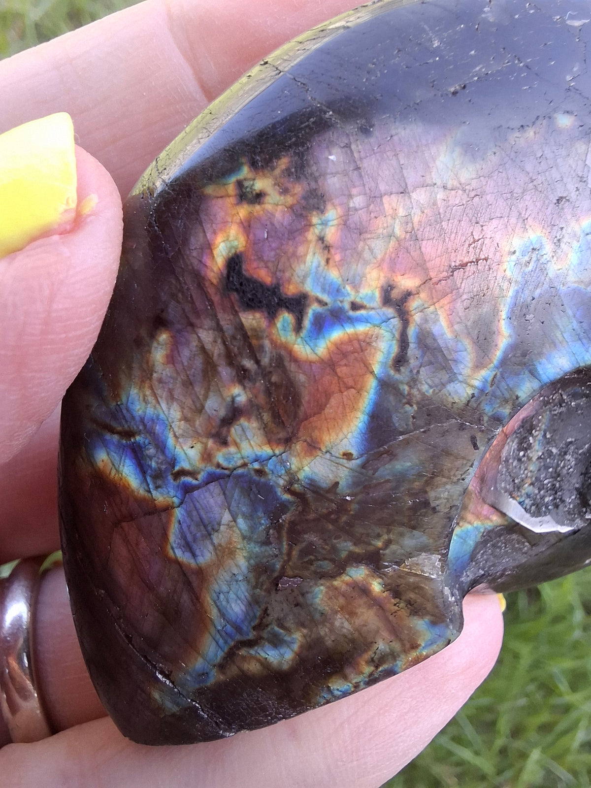 Labradorite Ammonite Carving, 89.31g, Crystal (Ref: laba6)