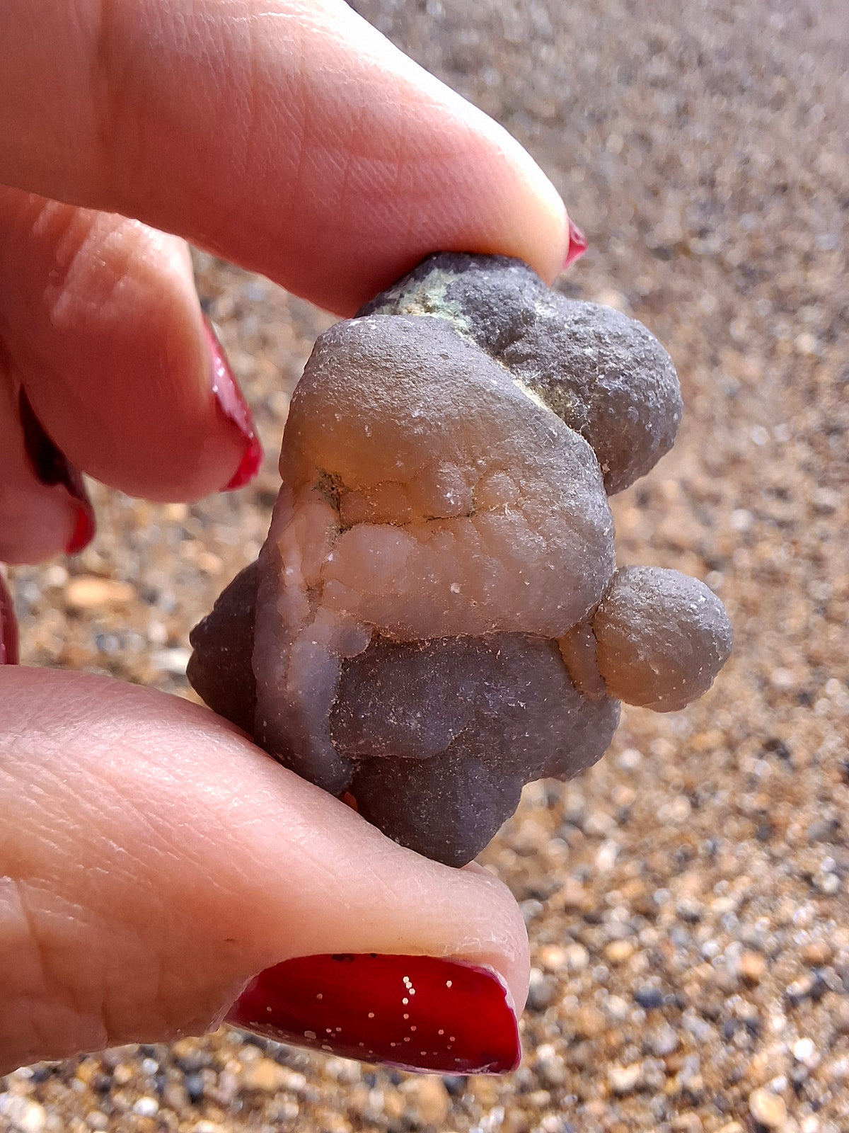Nebula Chalcedony, 16.91g, Fossil (Ref: NC1)