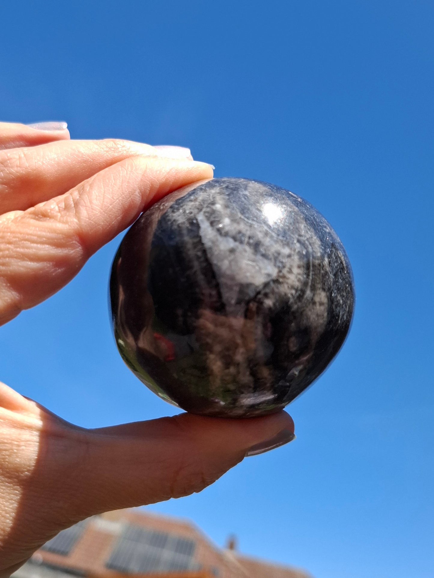 Orthoceras Sphere, Fossil (Ref: OS3)