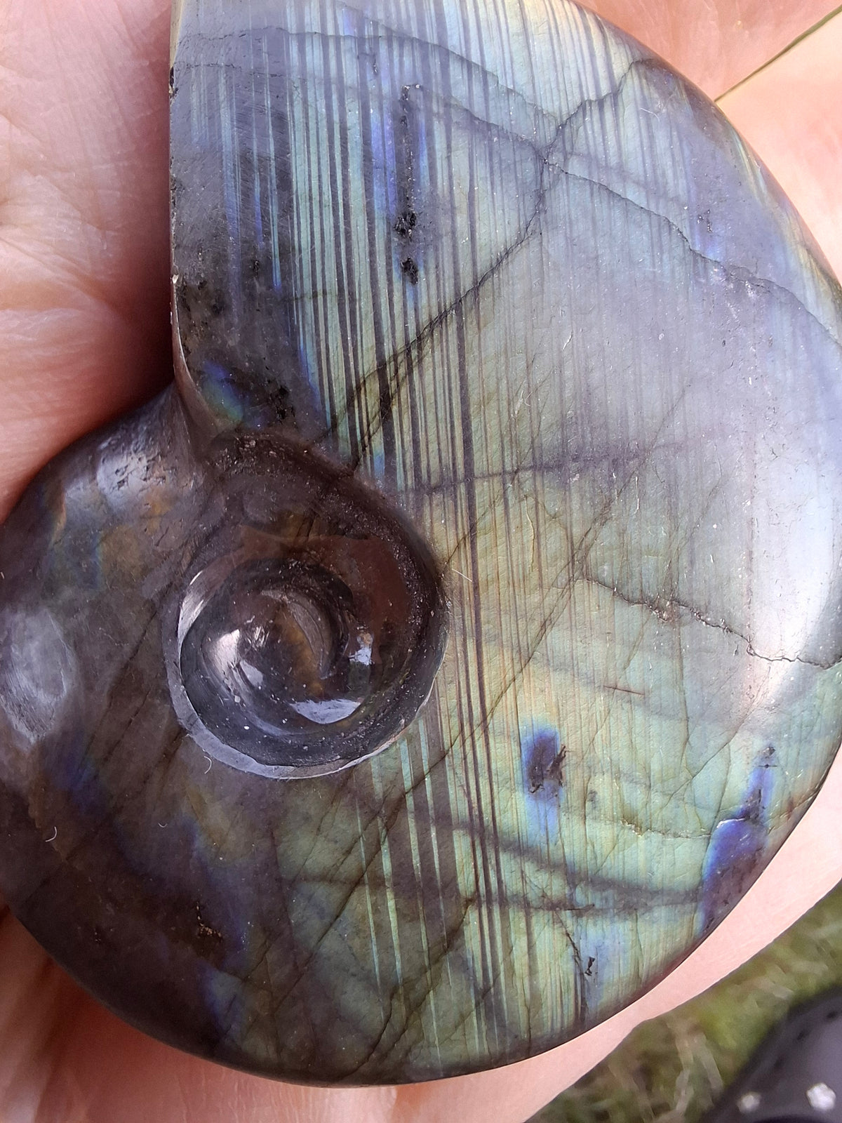 Labradorite Ammonite carving, 96.88g, Crystal (Ref: laba1)