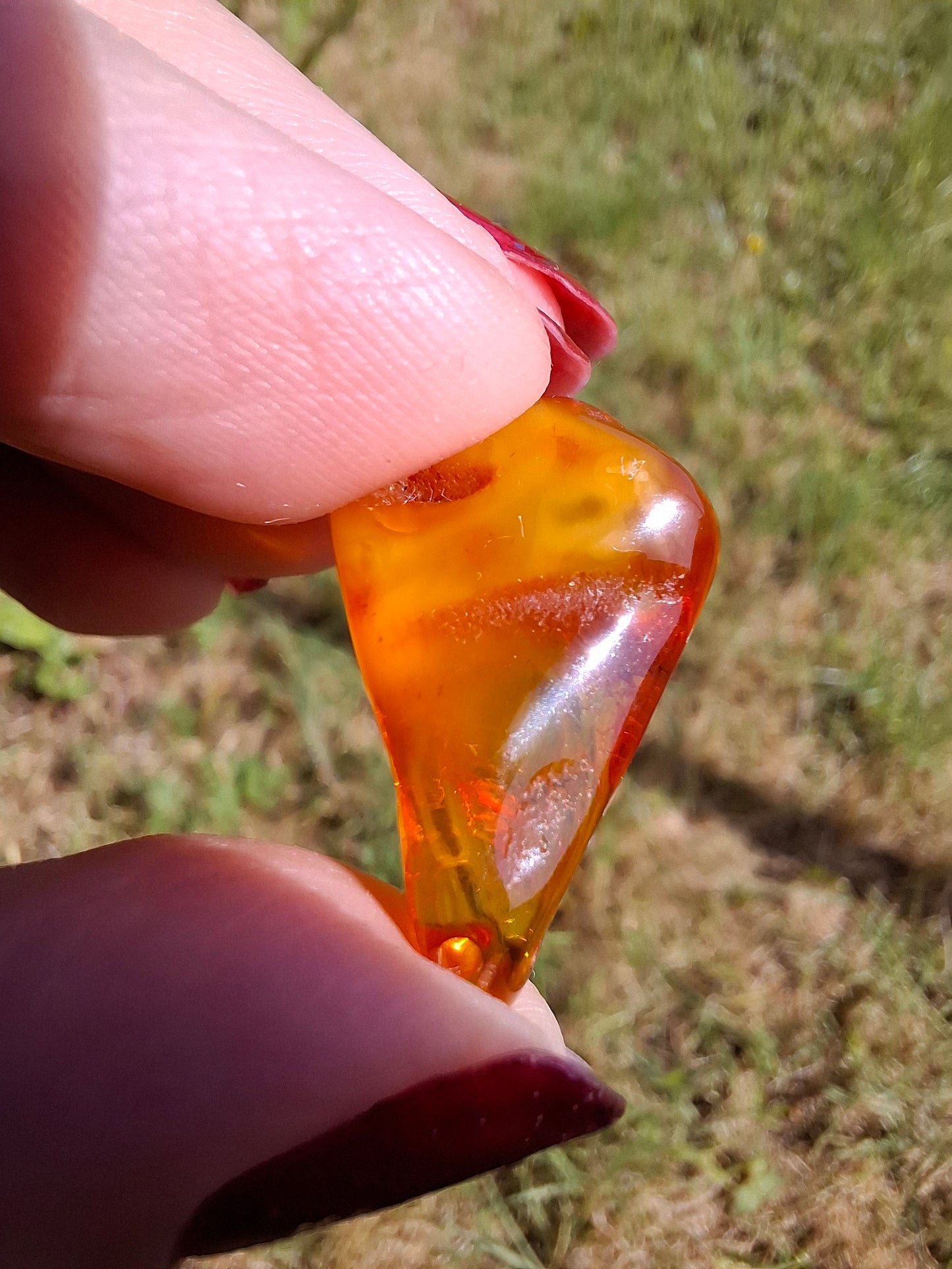 Baltic Amber, 1.52g, Fossil (Ref: A189)